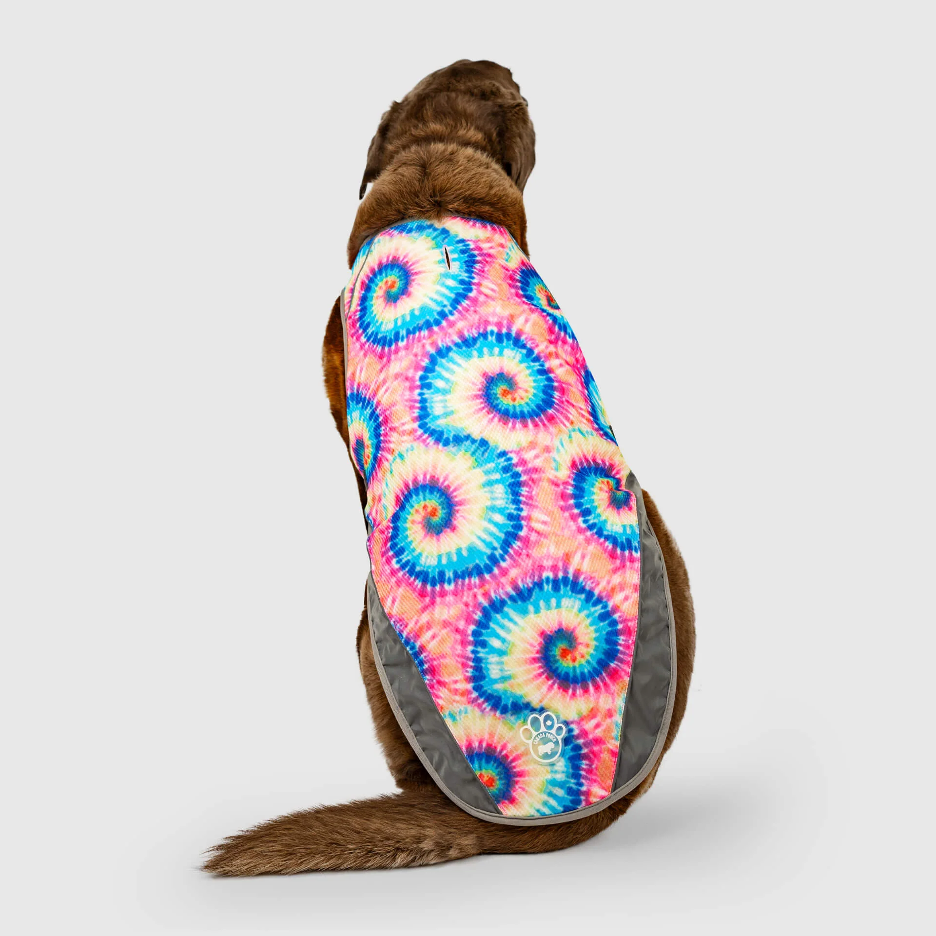 Canada Pooch Chill Seeker Cooling Vest - Image 21