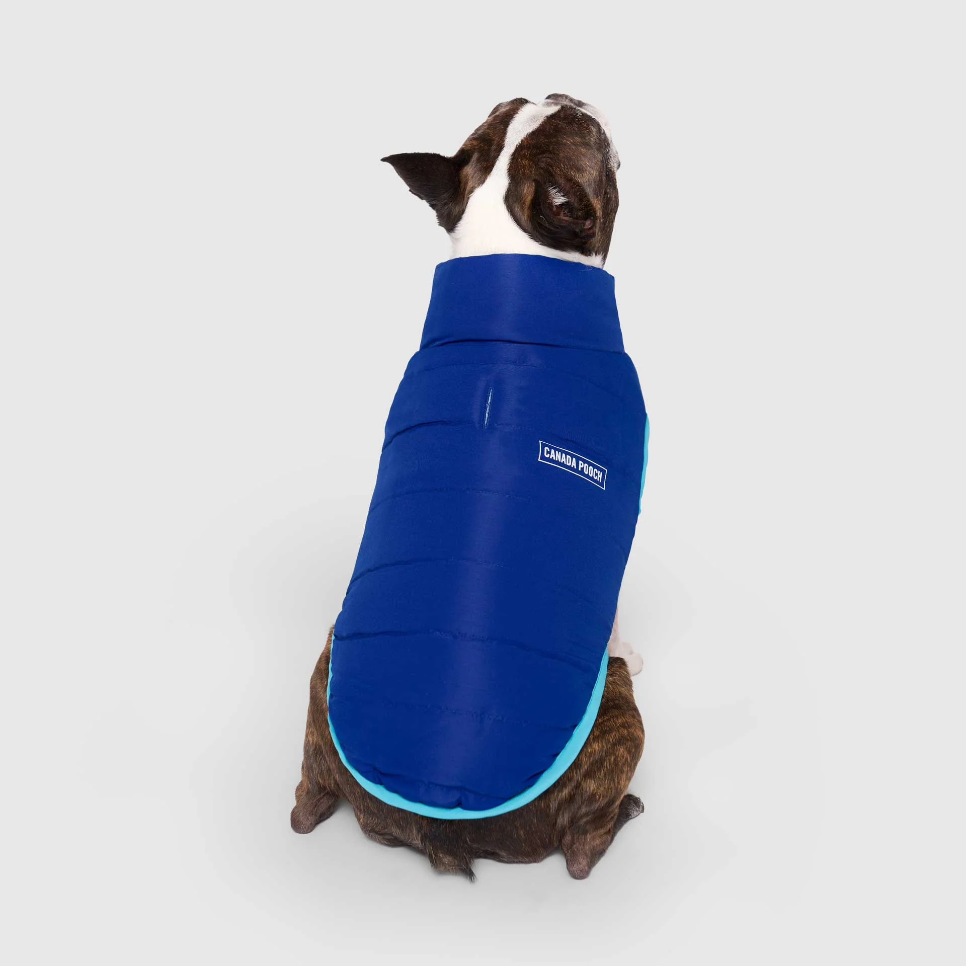 Canada Pooch Reversible Puffer Vest - Image 7