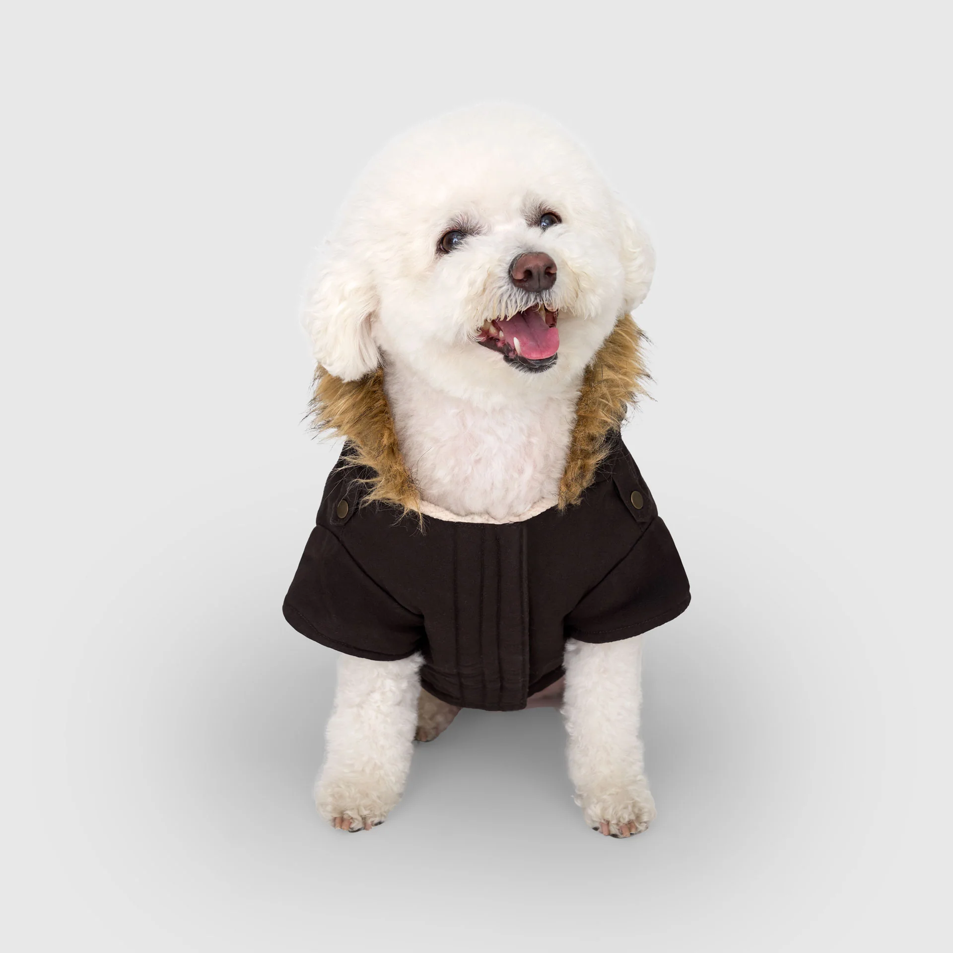 Canada Pooch Alaskan Army Parka - Image 20