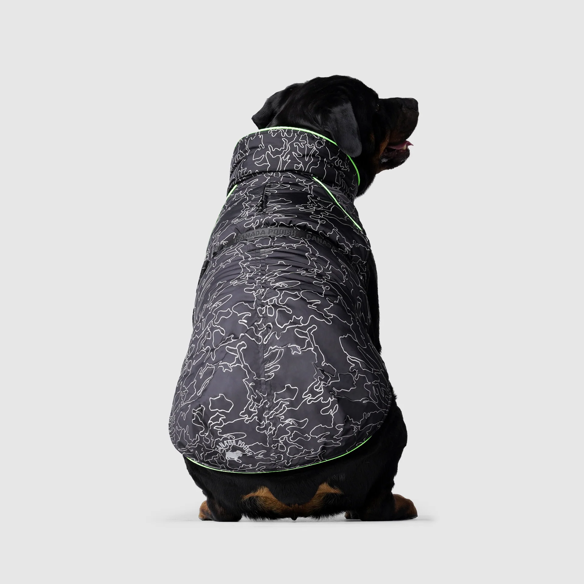 Canada Pooch Expedition Coat 2.0 - Image 2