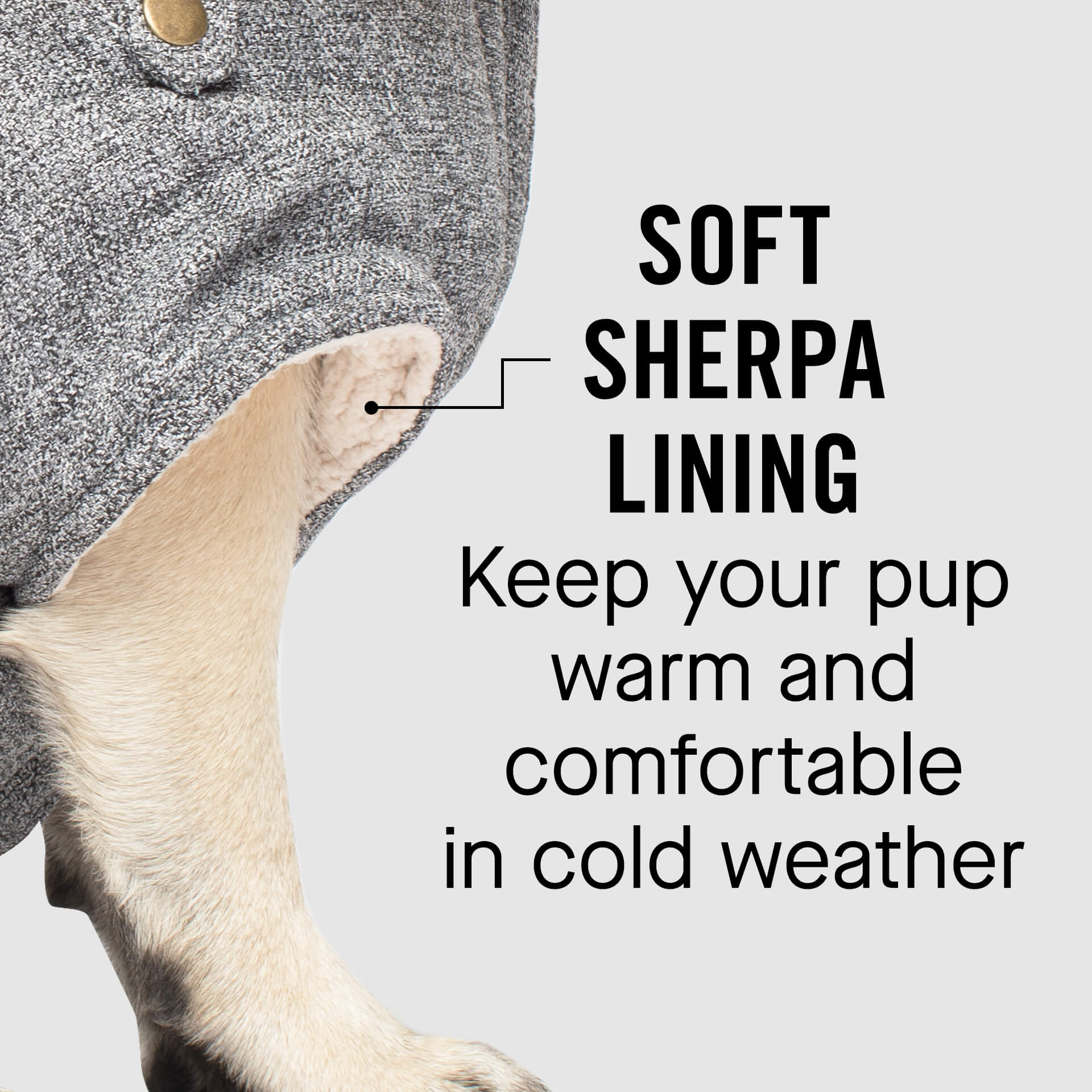 Canada Pooch Alaskan Army Parka - Image 5