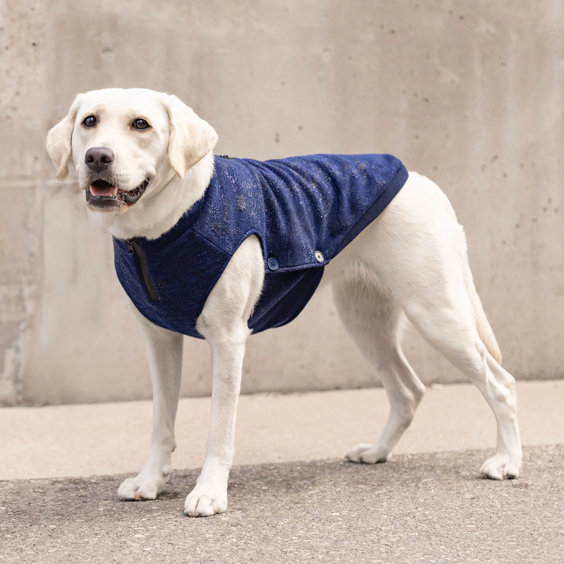 Canada Pooch Waterproof Sweater - Image 14