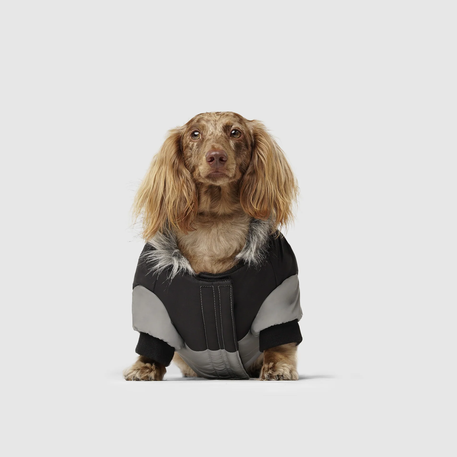 Canada Pooch True North Parka - Image 3