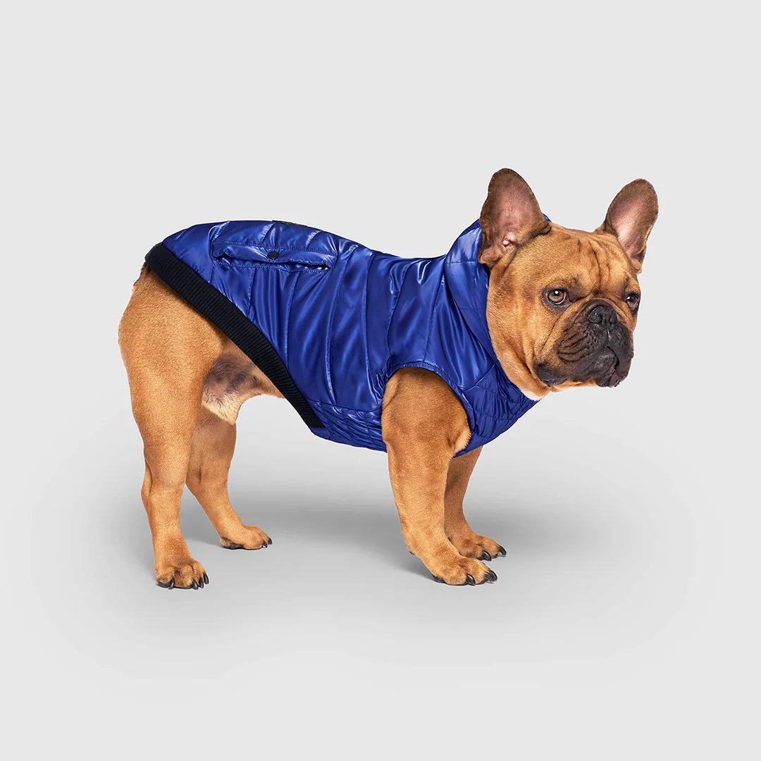 Canada Pooch Shiny Puffer Vest - Image 13