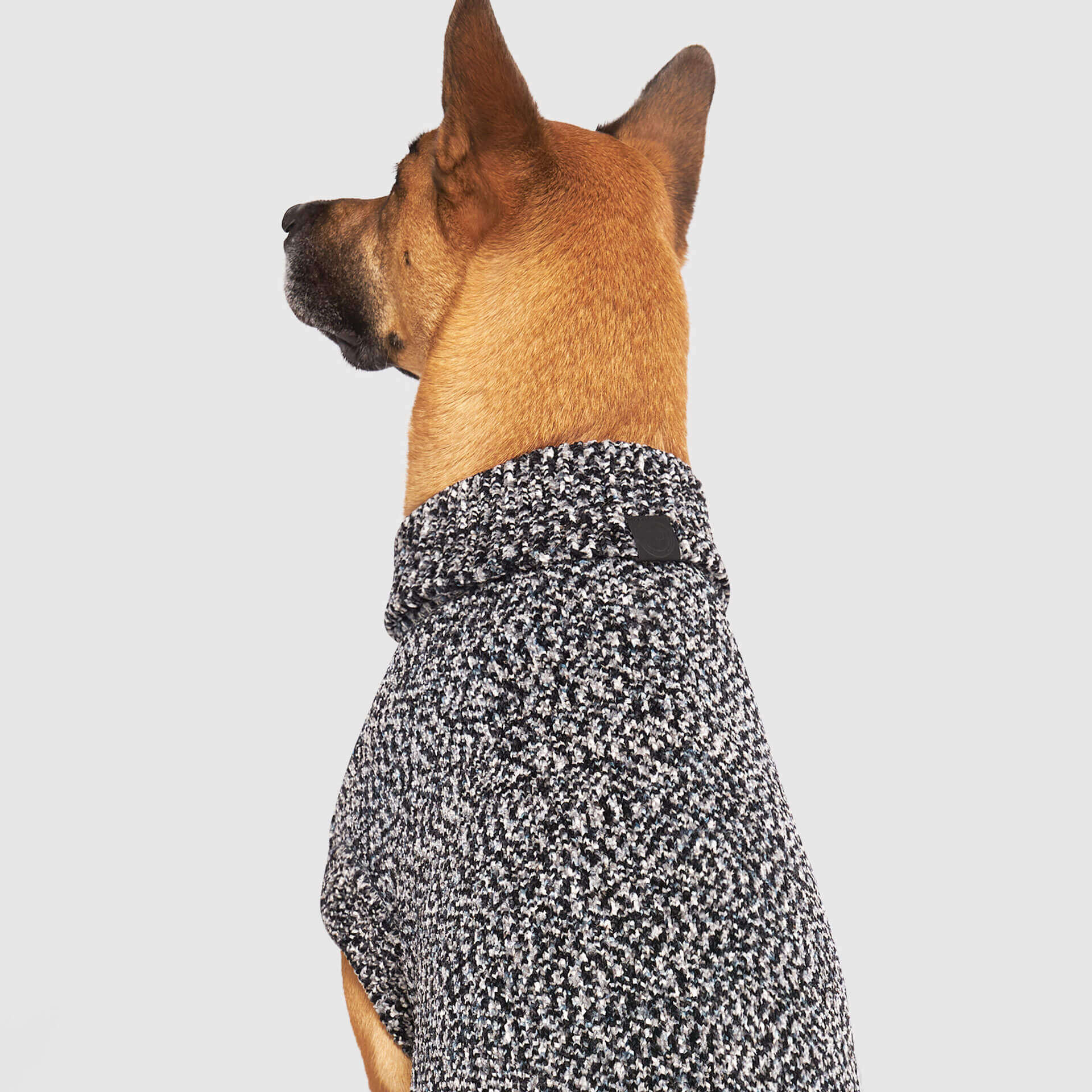 Canada Pooch Soho Sweater - Image 11