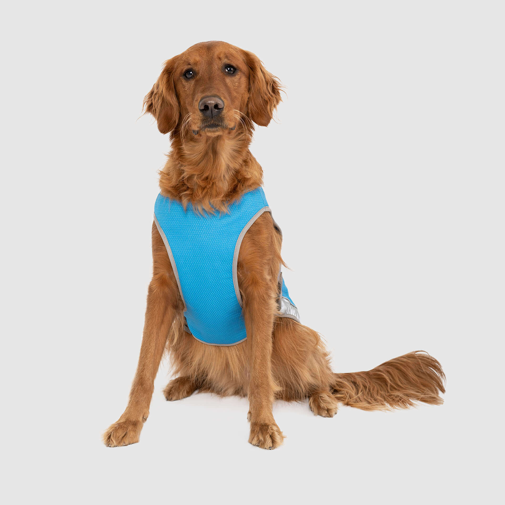 Canada Pooch Chill Seeker Cooling Vest - Image 4