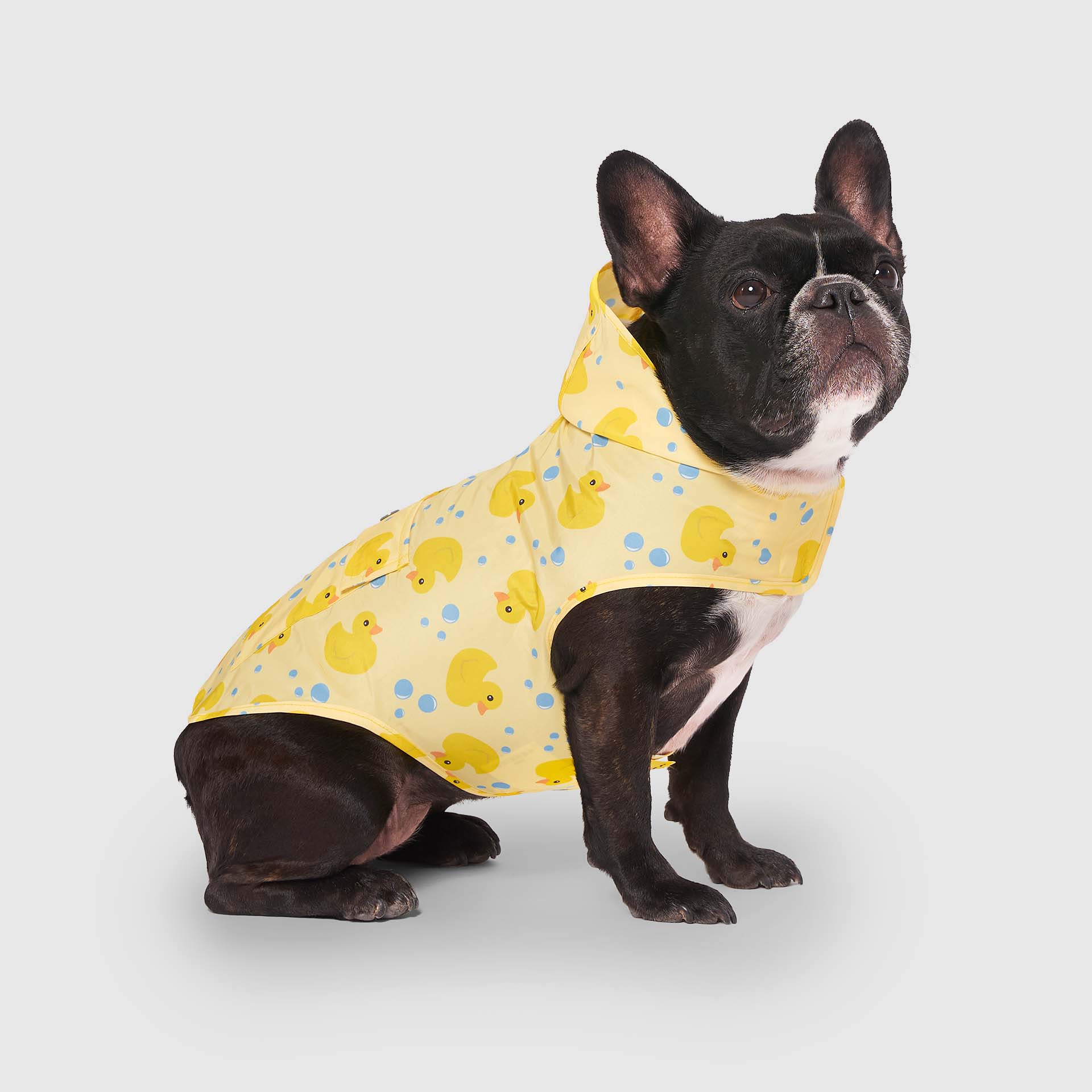 Canada Pooch Pick Me Poncho — SKU SB-A53199-ADDD5996031858 - Image 19