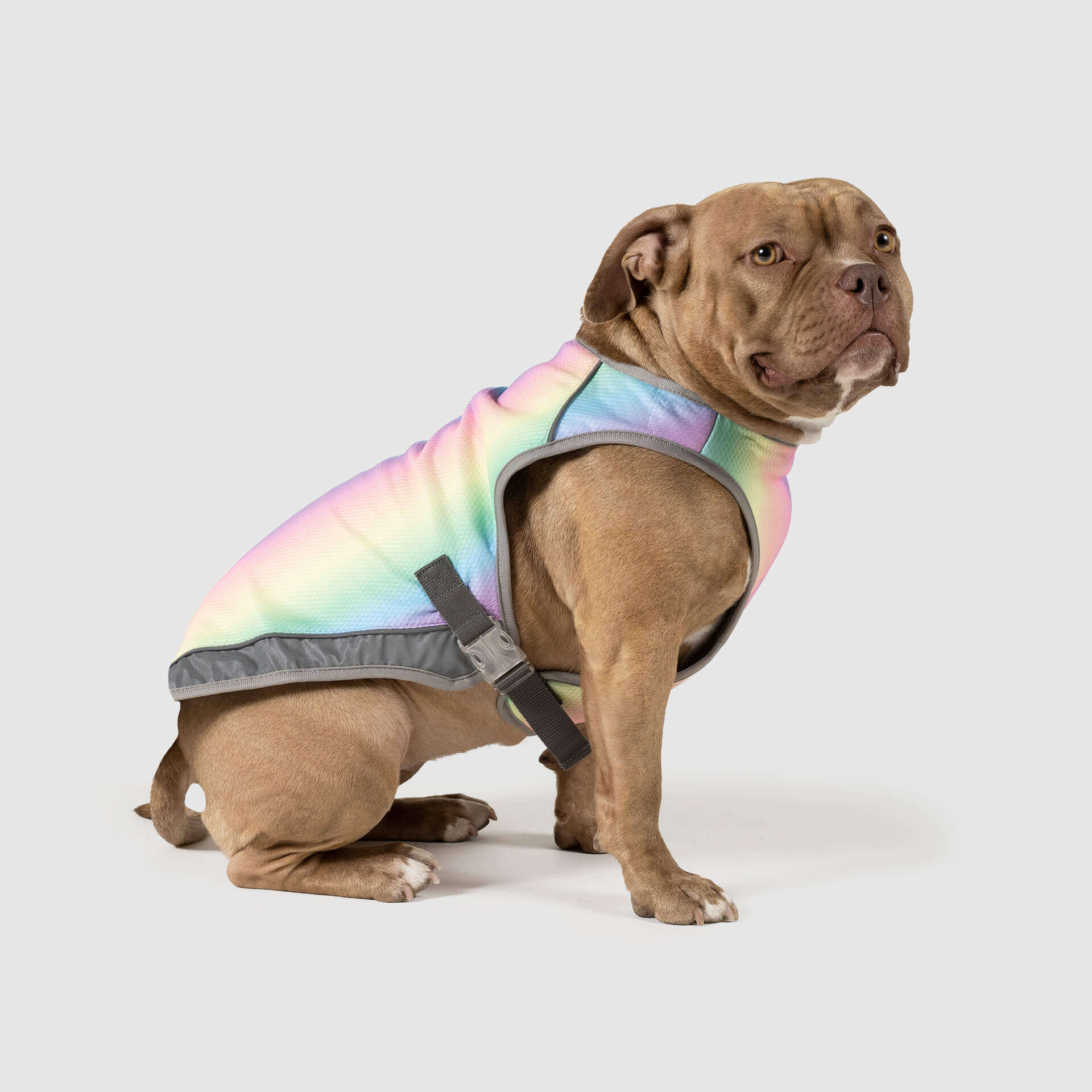 Canada Pooch Chill Seeker Cooling Vest - Image 8