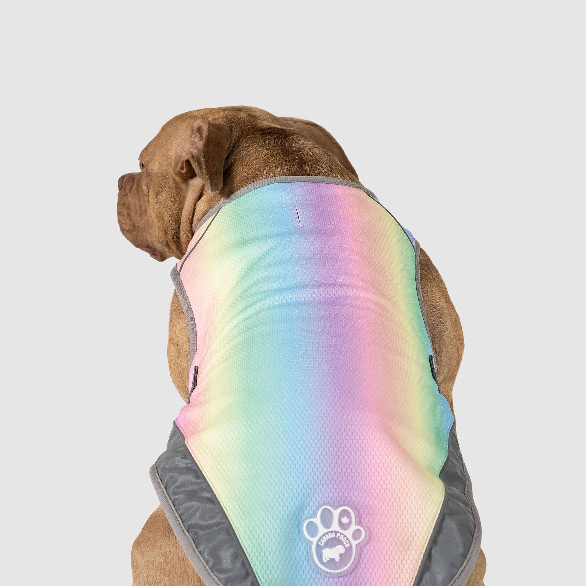 Canada Pooch Chill Seeker Cooling Vest - Image 13