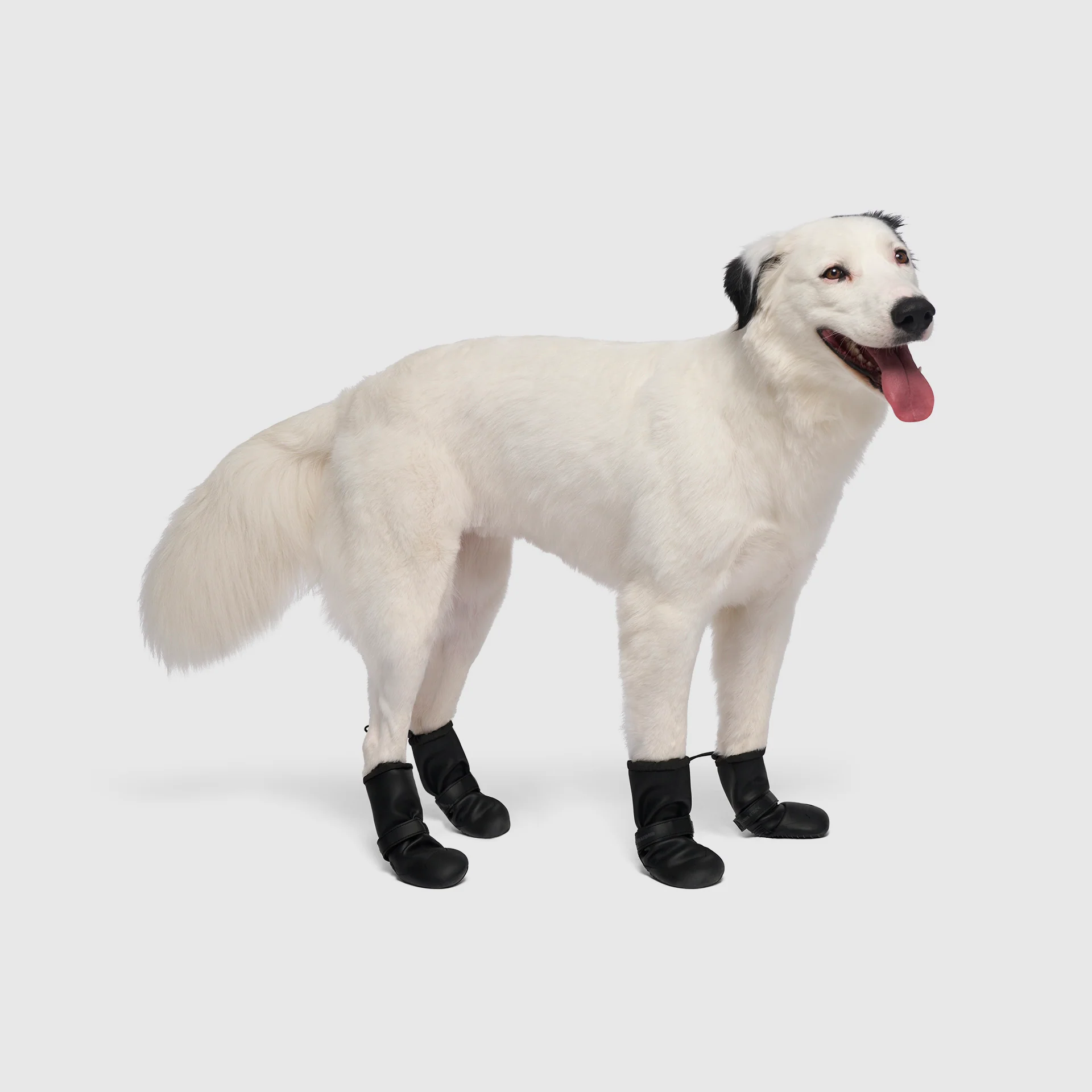 Canada Pooch Waterproof Rain Boots - Image 9