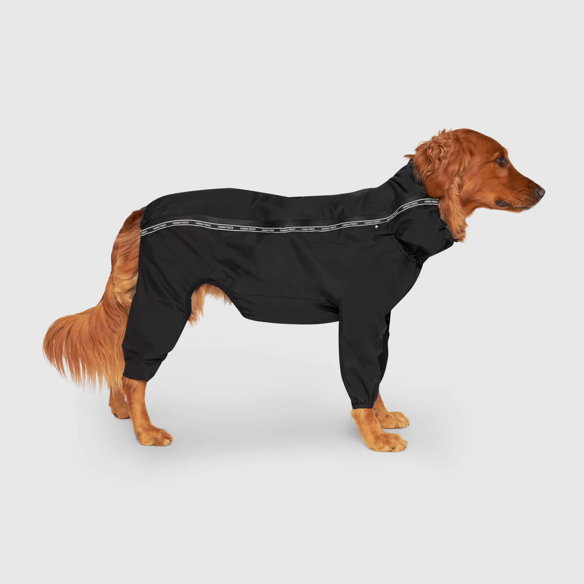 Canada Pooch Slush Suit