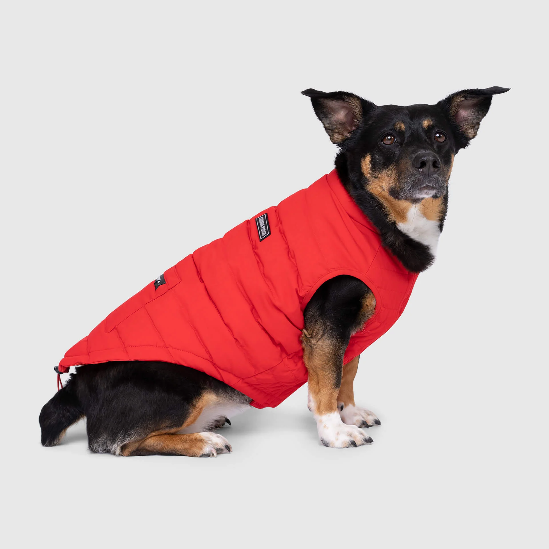Canada Pooch Ultimate Stretch Vest - Image 11