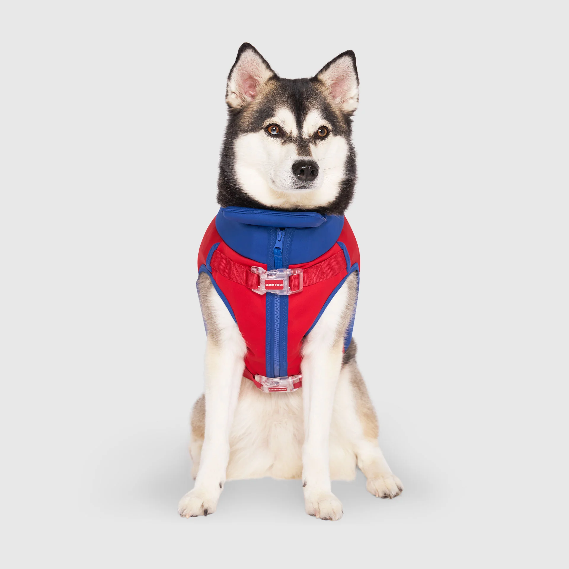 Canada Pooch High Tide Life Jacket - Image 2
