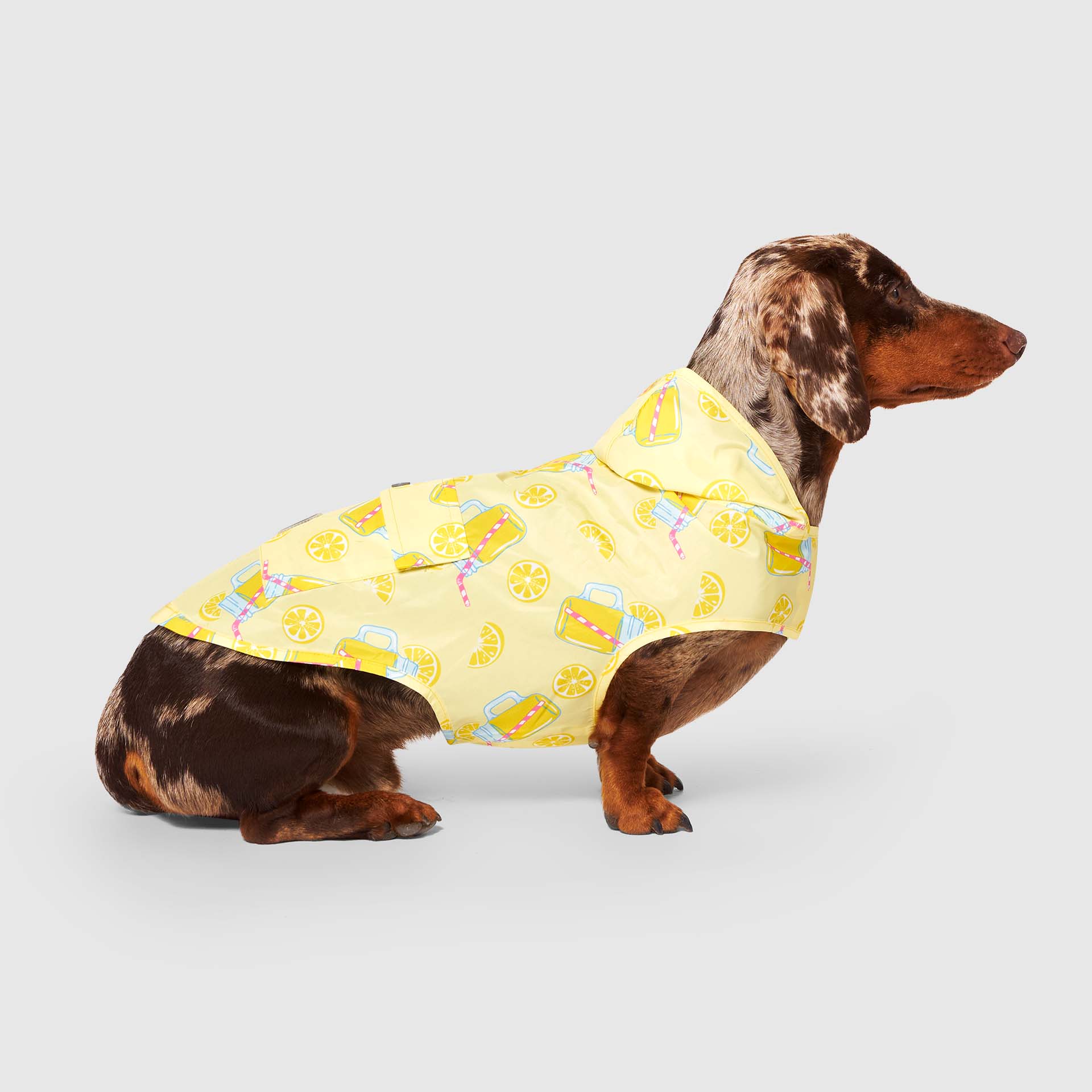 Canada Pooch Pick Me Poncho — SKU SB-A53199-ADDD5996031858