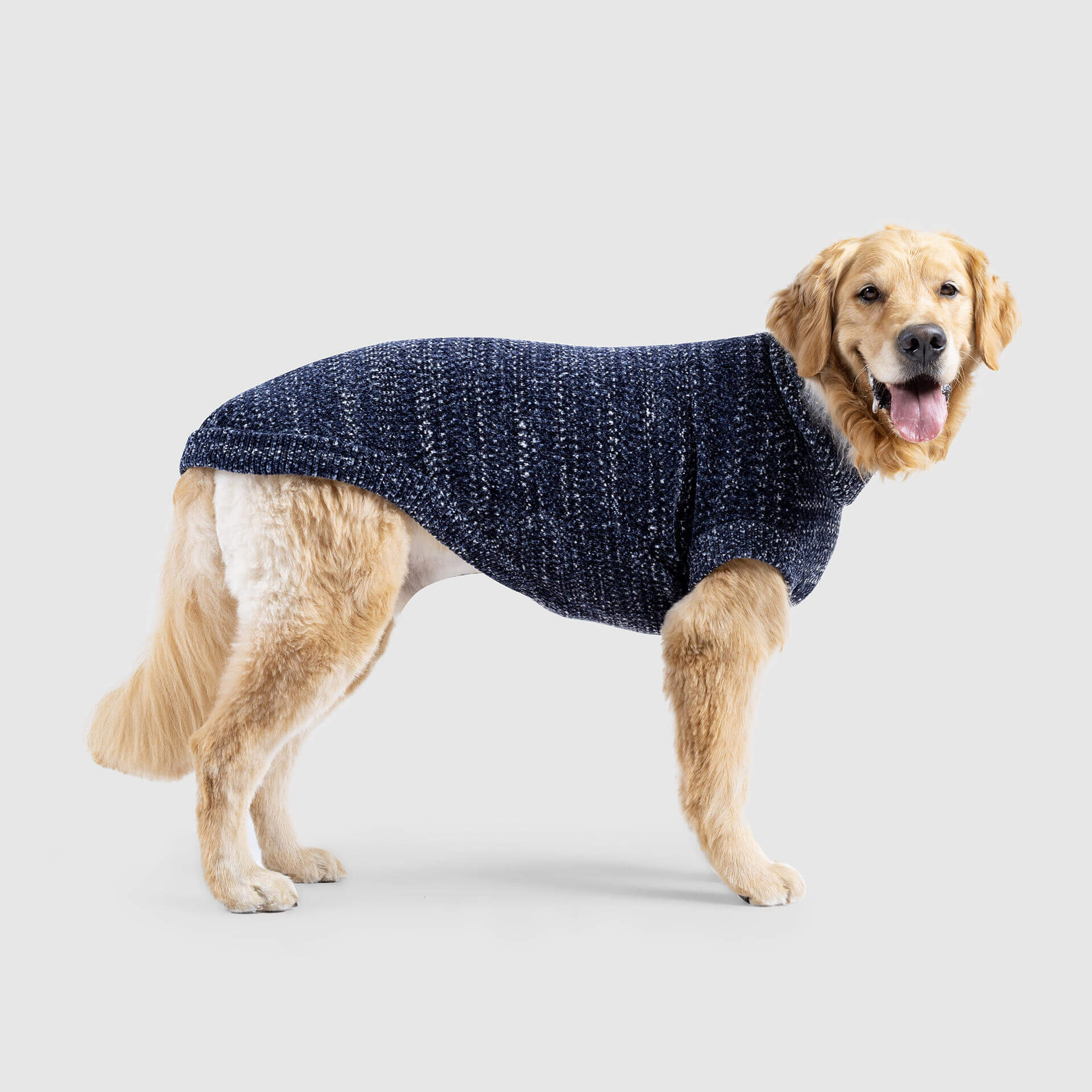 Canada Pooch Soho Sweater