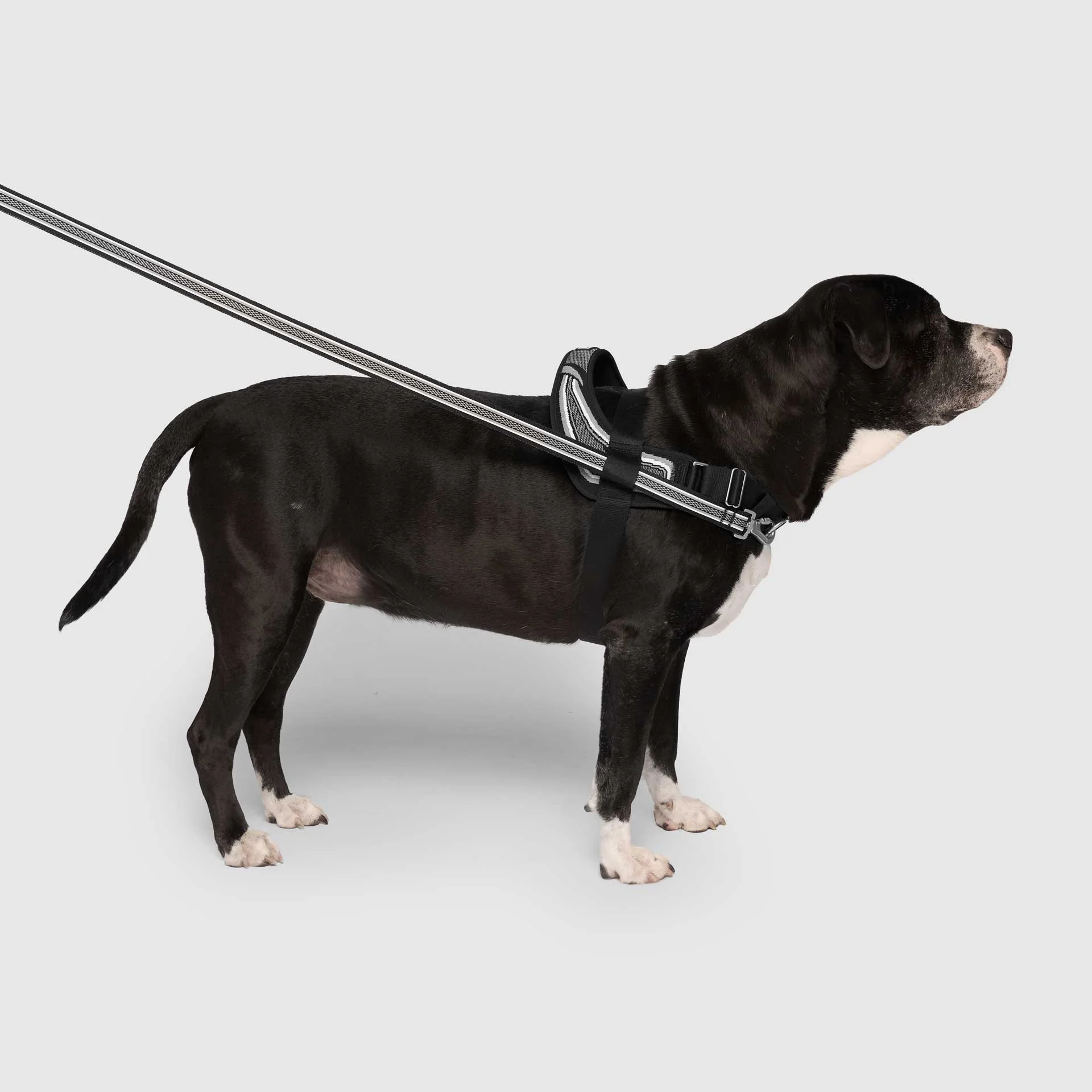Canada Pooch Re-Direct Harness
