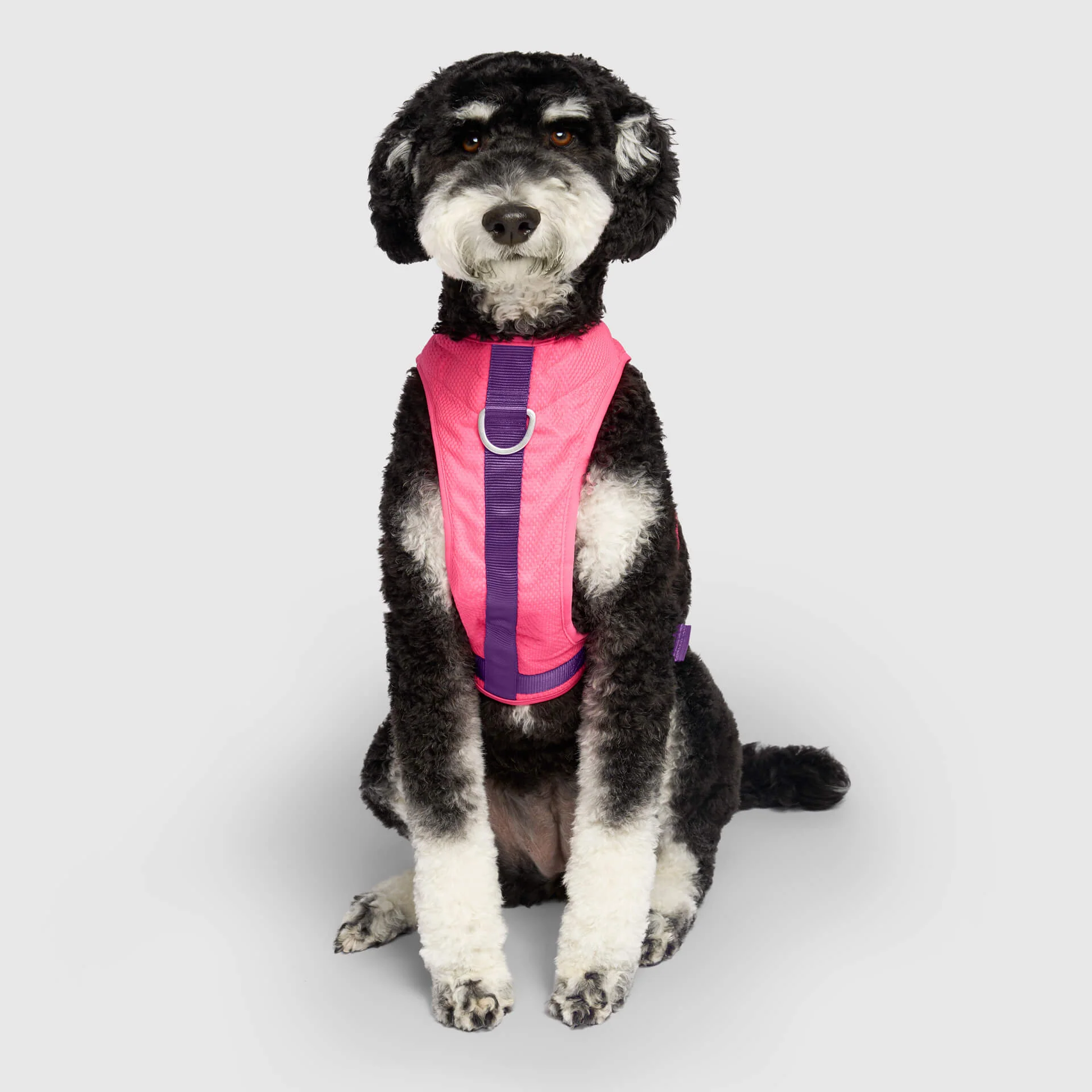 Canada Pooch Chill Seeker Cooling Harness - Image 11