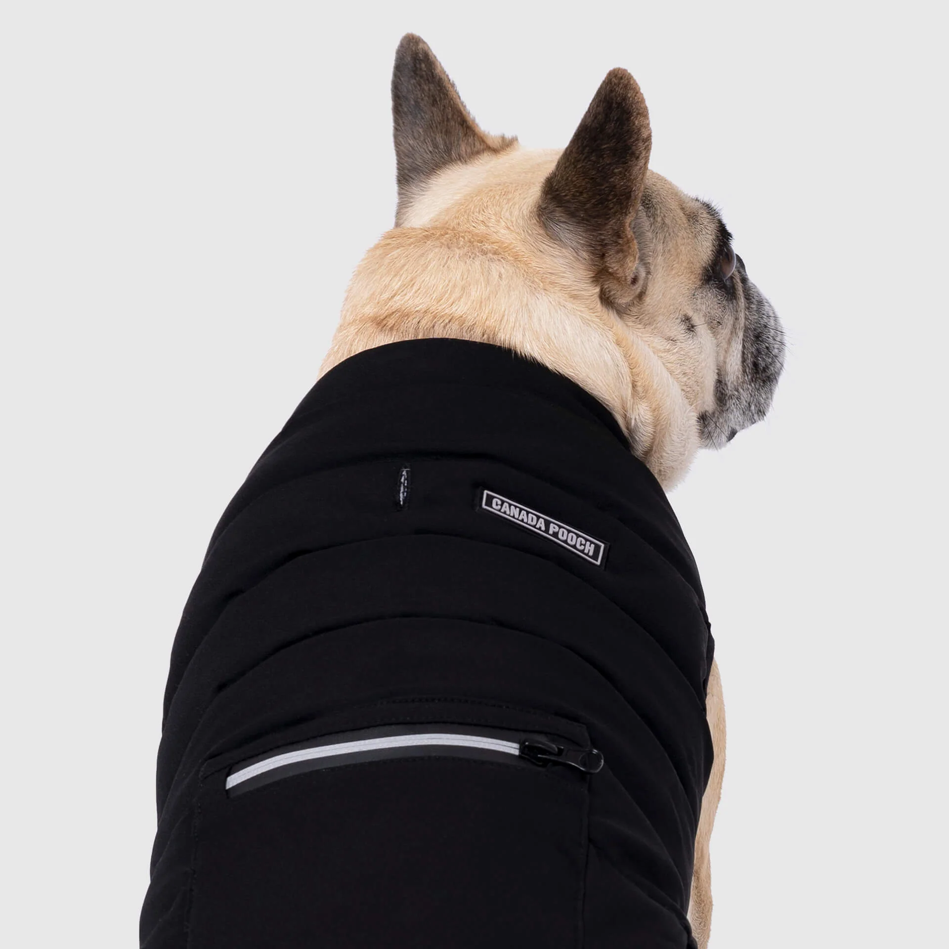 Canada Pooch Ultimate Stretch Vest - Image 3