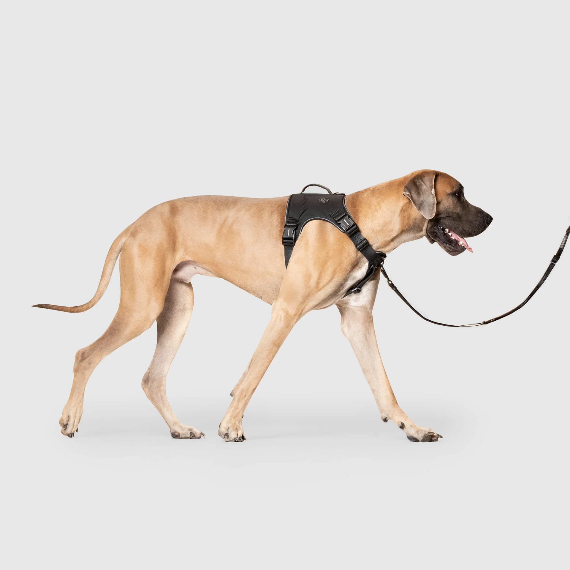 Canada Pooch Complete Control Harness