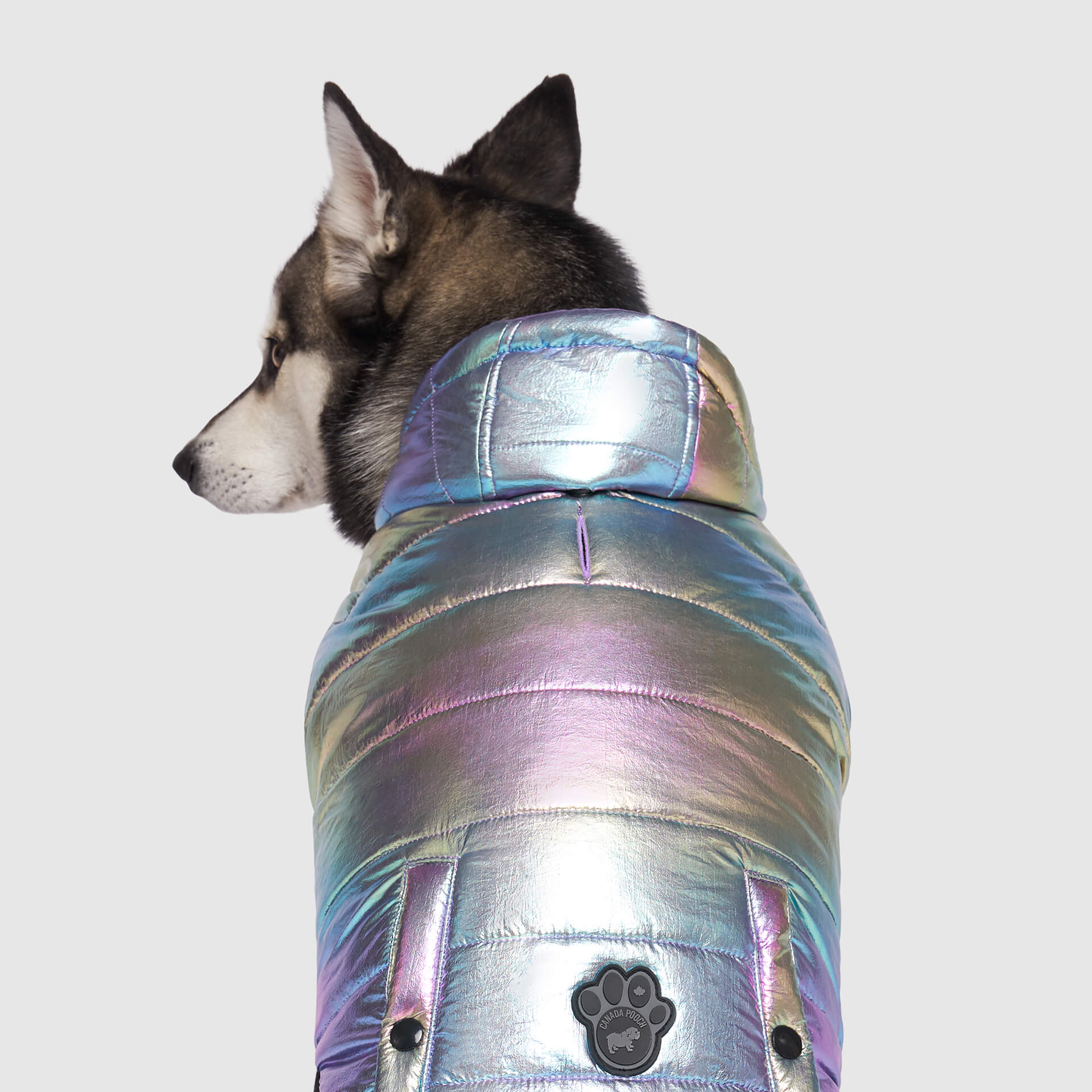 Canada Pooch Shiny Puffer Vest - Image 11