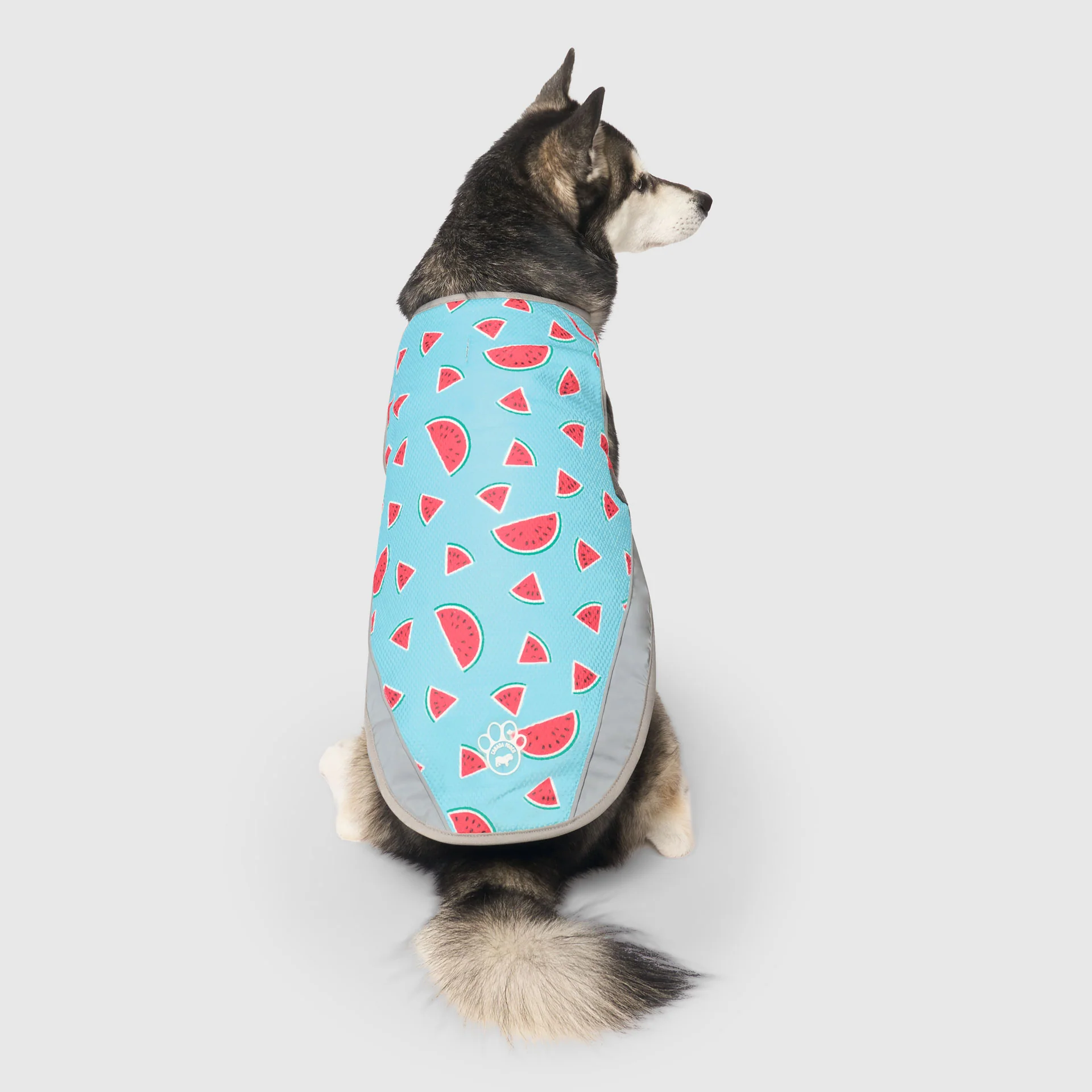 Canada Pooch Chill Seeker Cooling Vest - Image 44