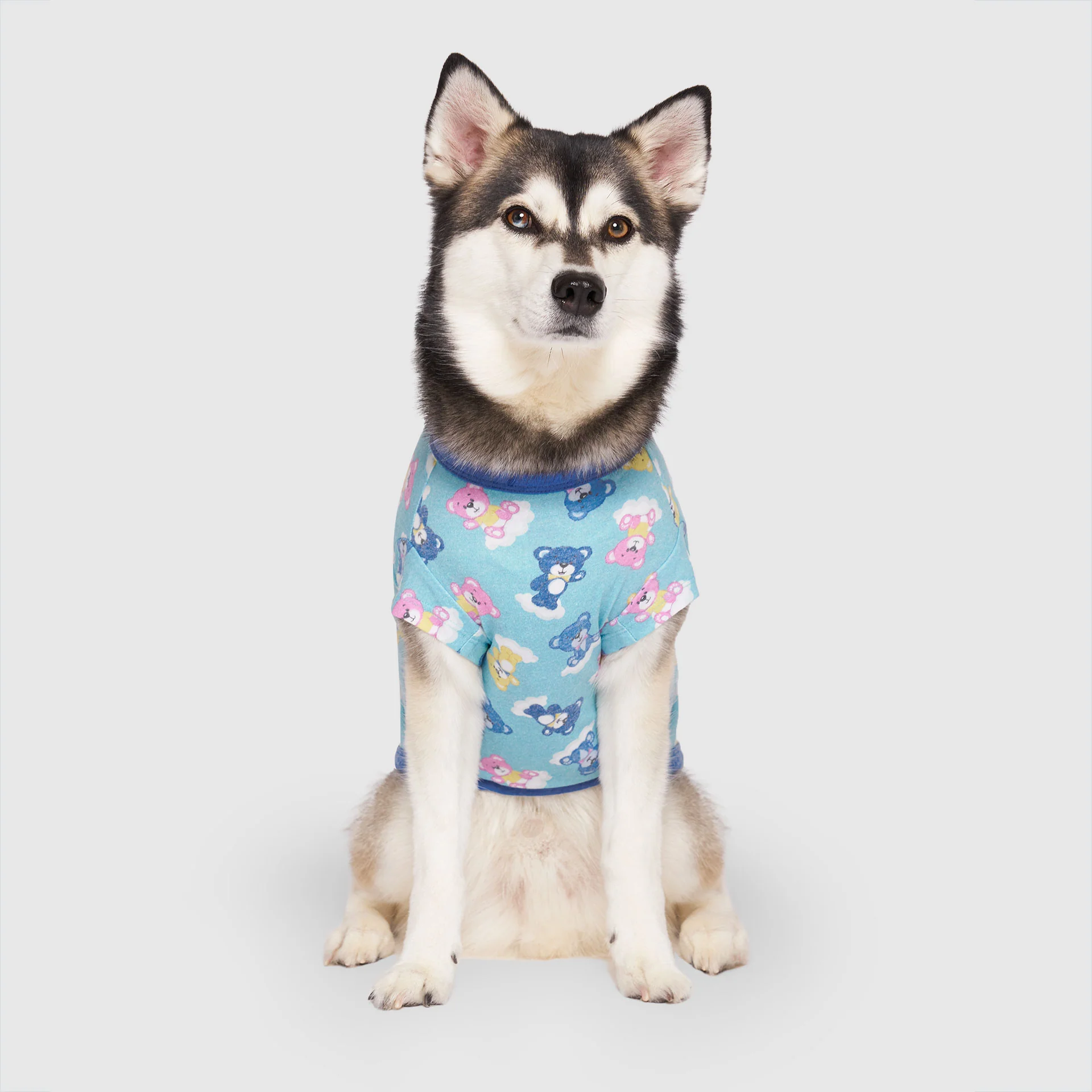 Canada Pooch Follow Me Tee - Image 22