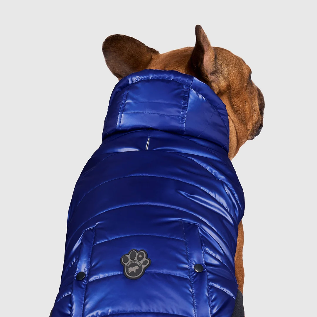 Canada Pooch Shiny Puffer Vest - Image 15