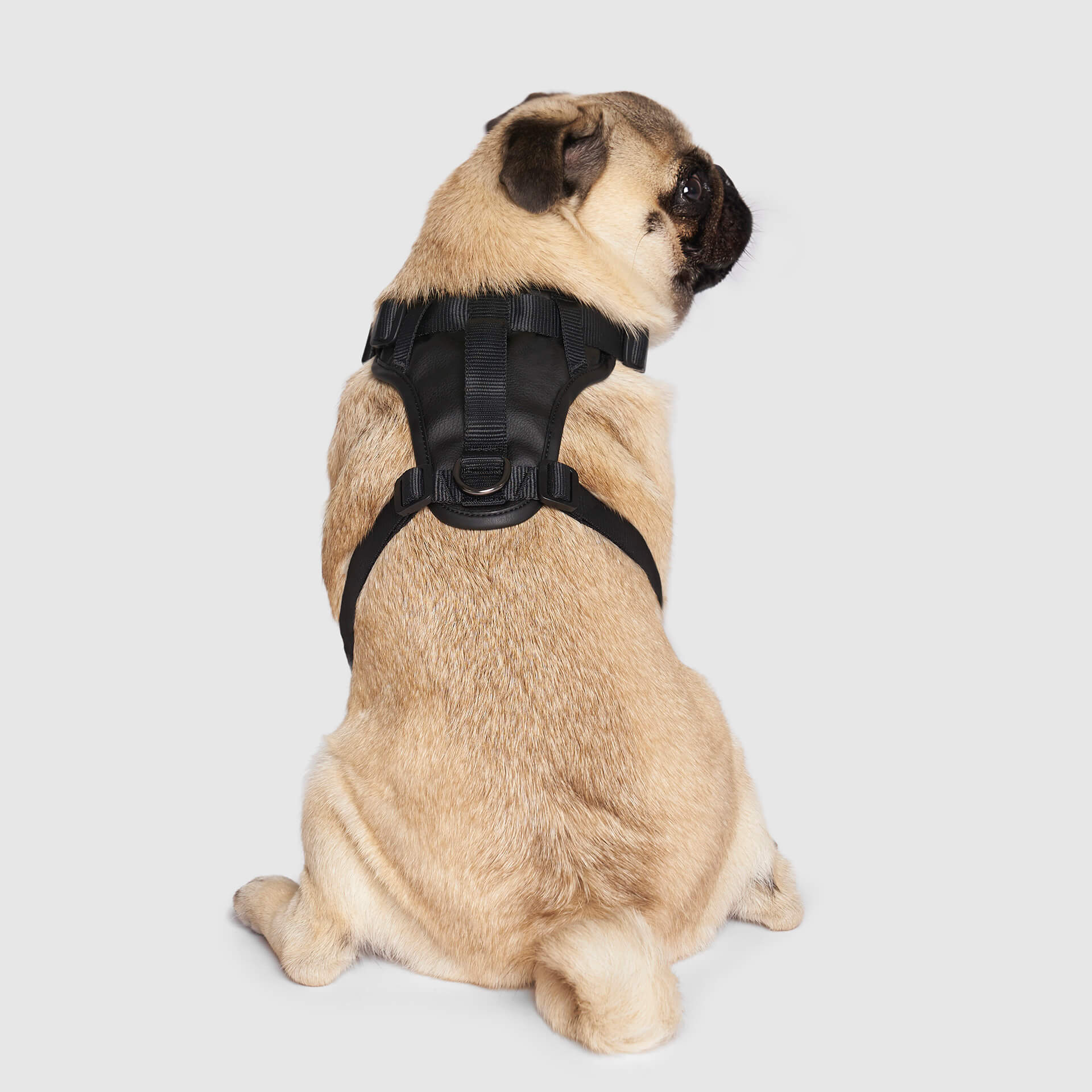 Canada Pooch Eco+ Everything Harness - Image 3