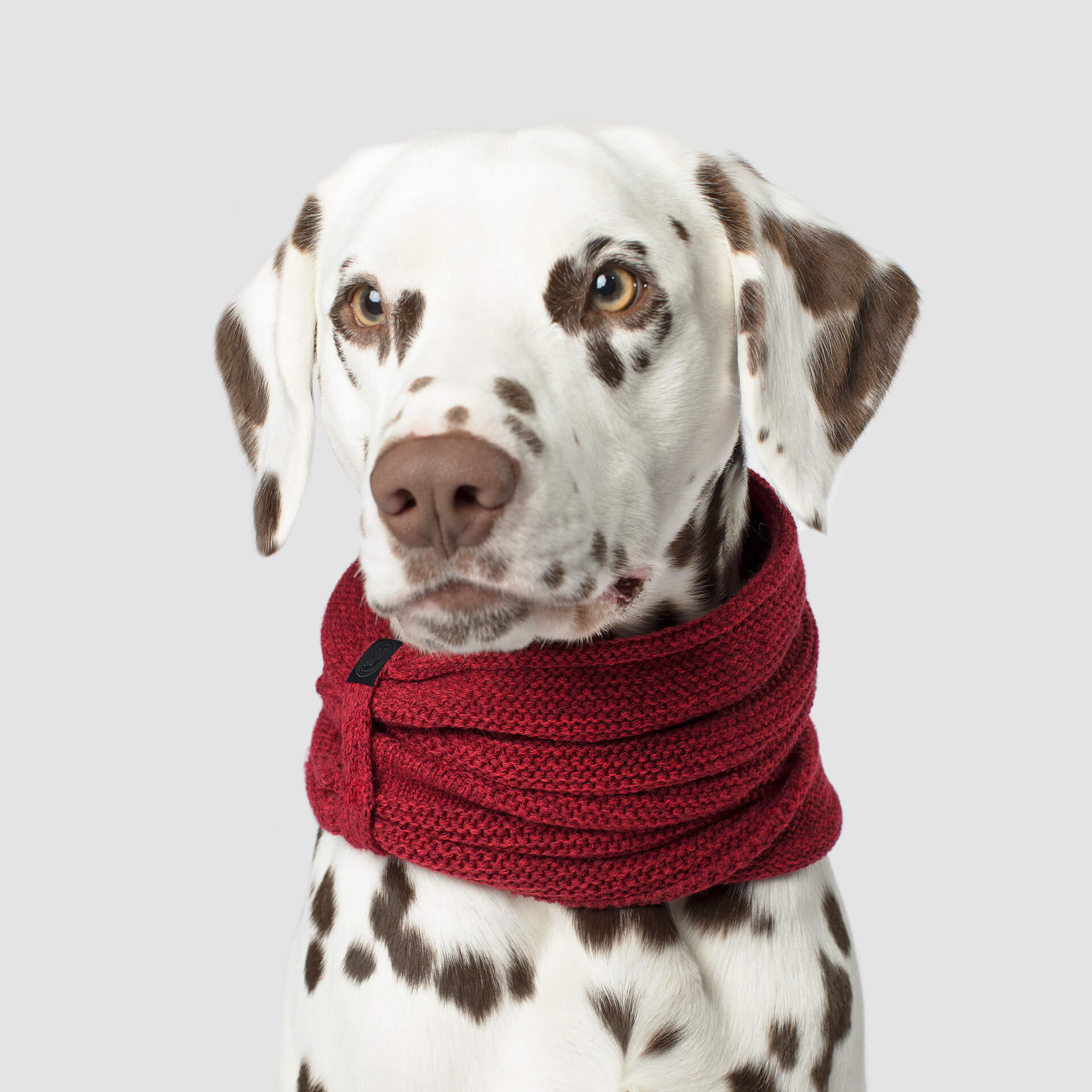 Canada Pooch Sierra Scarf