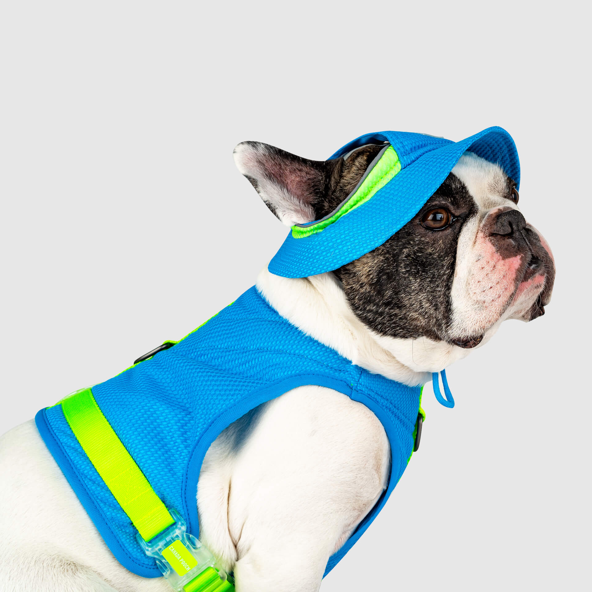 Canada Pooch Chill Seeker Cooling Hat - Image 2