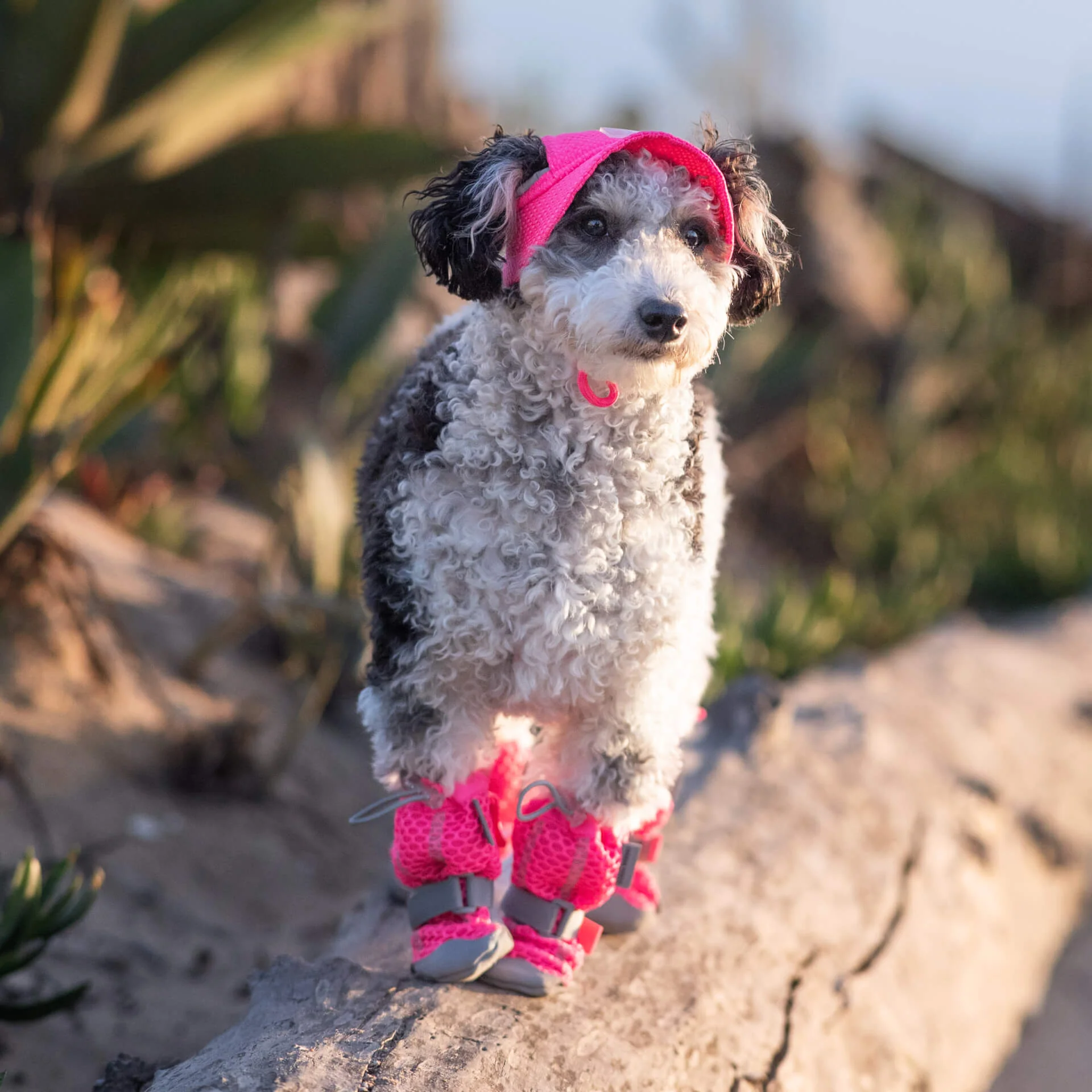 Canada Pooch Chill Seeker Cooling Hat - Image 8