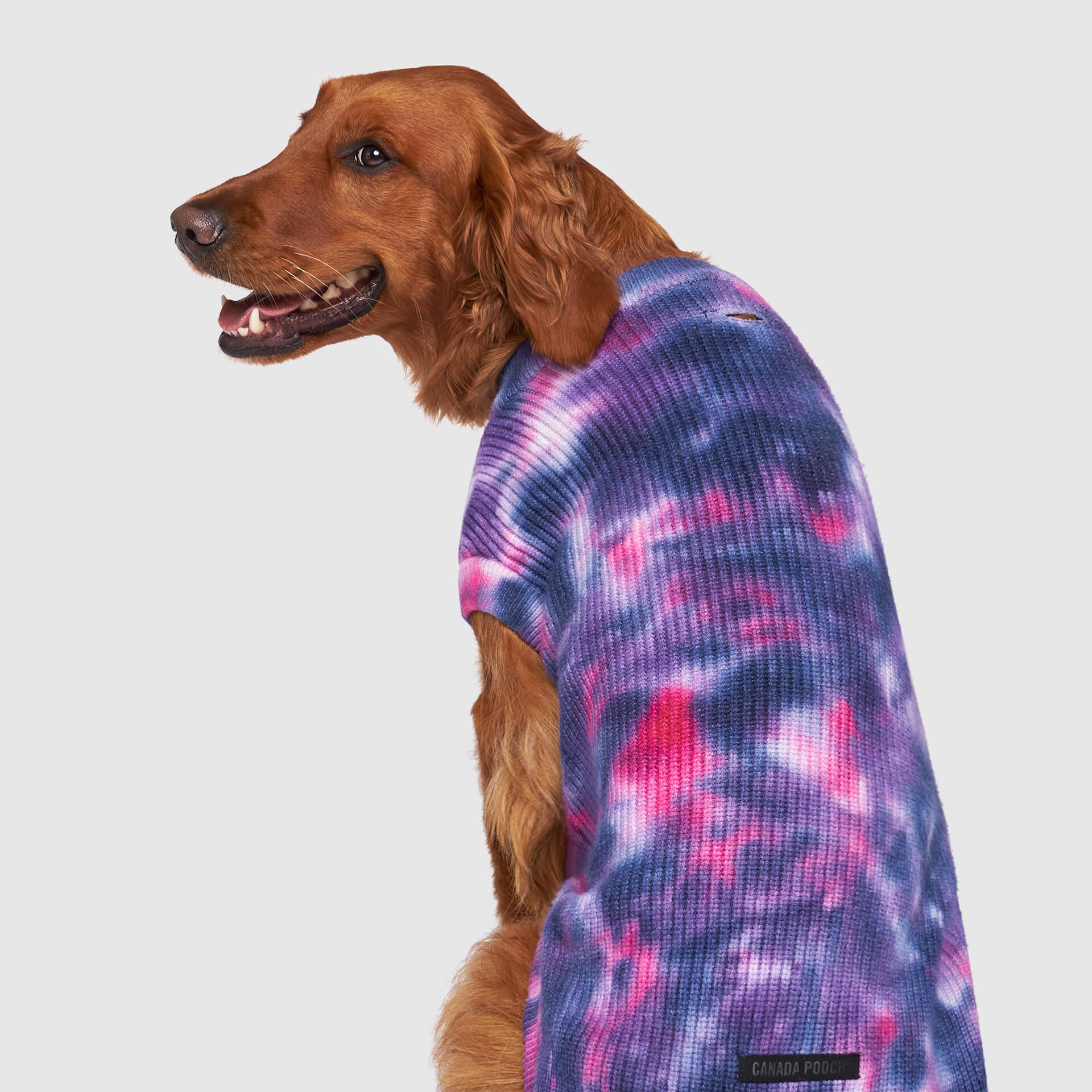Canada Pooch Wild Side Sweater - Image 2