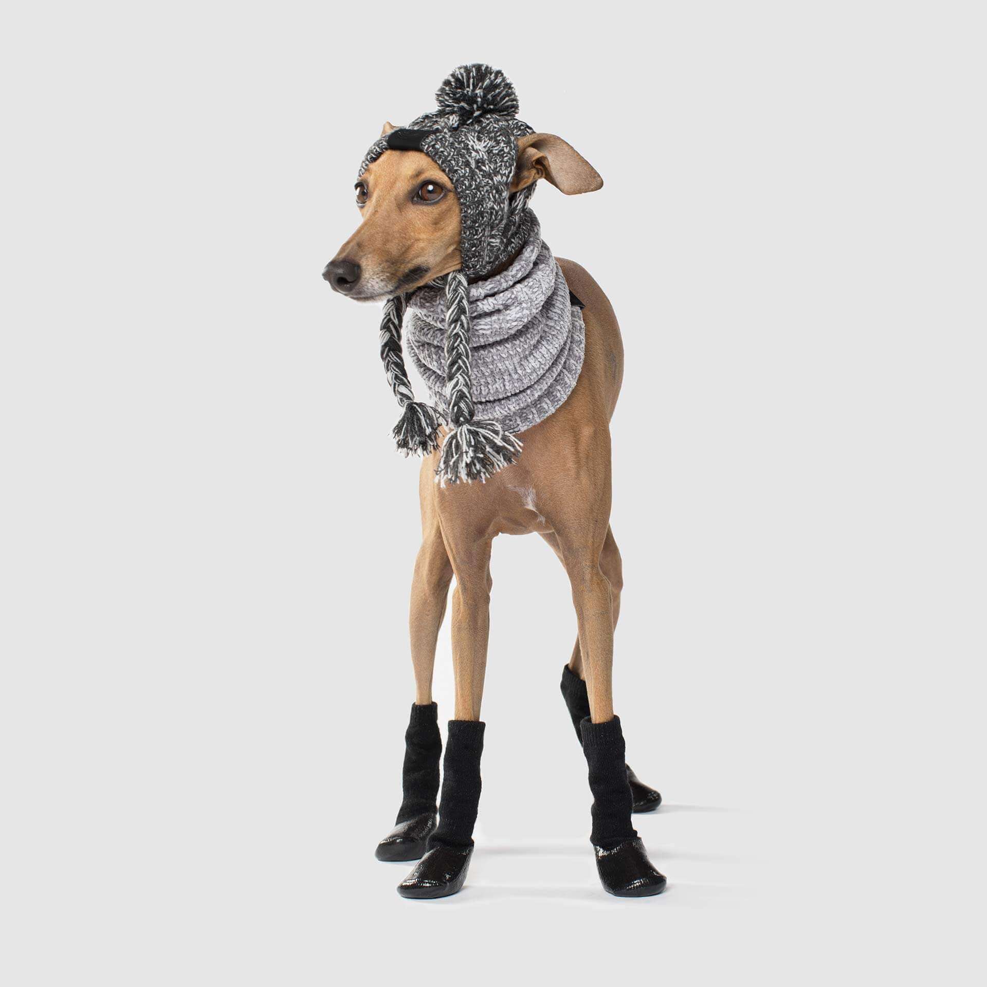 Canada Pooch Slouchy Socks - Image 3