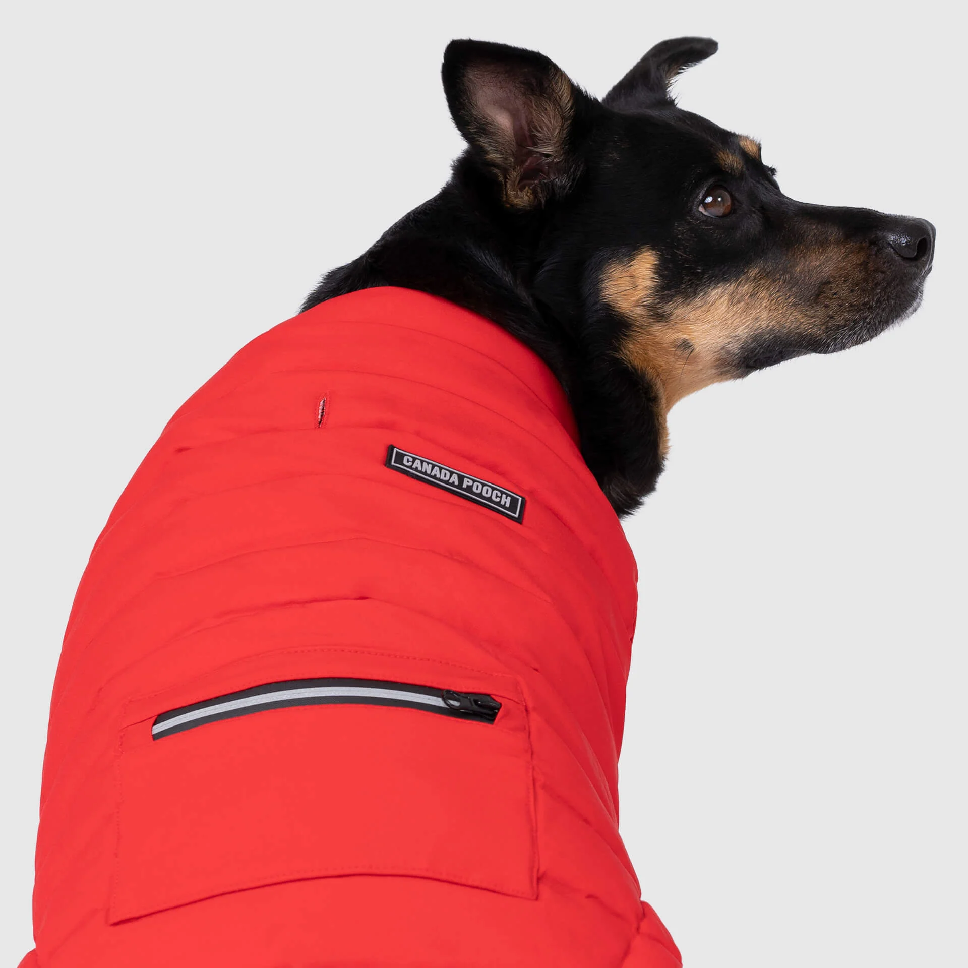 Canada Pooch Ultimate Stretch Vest - Image 13