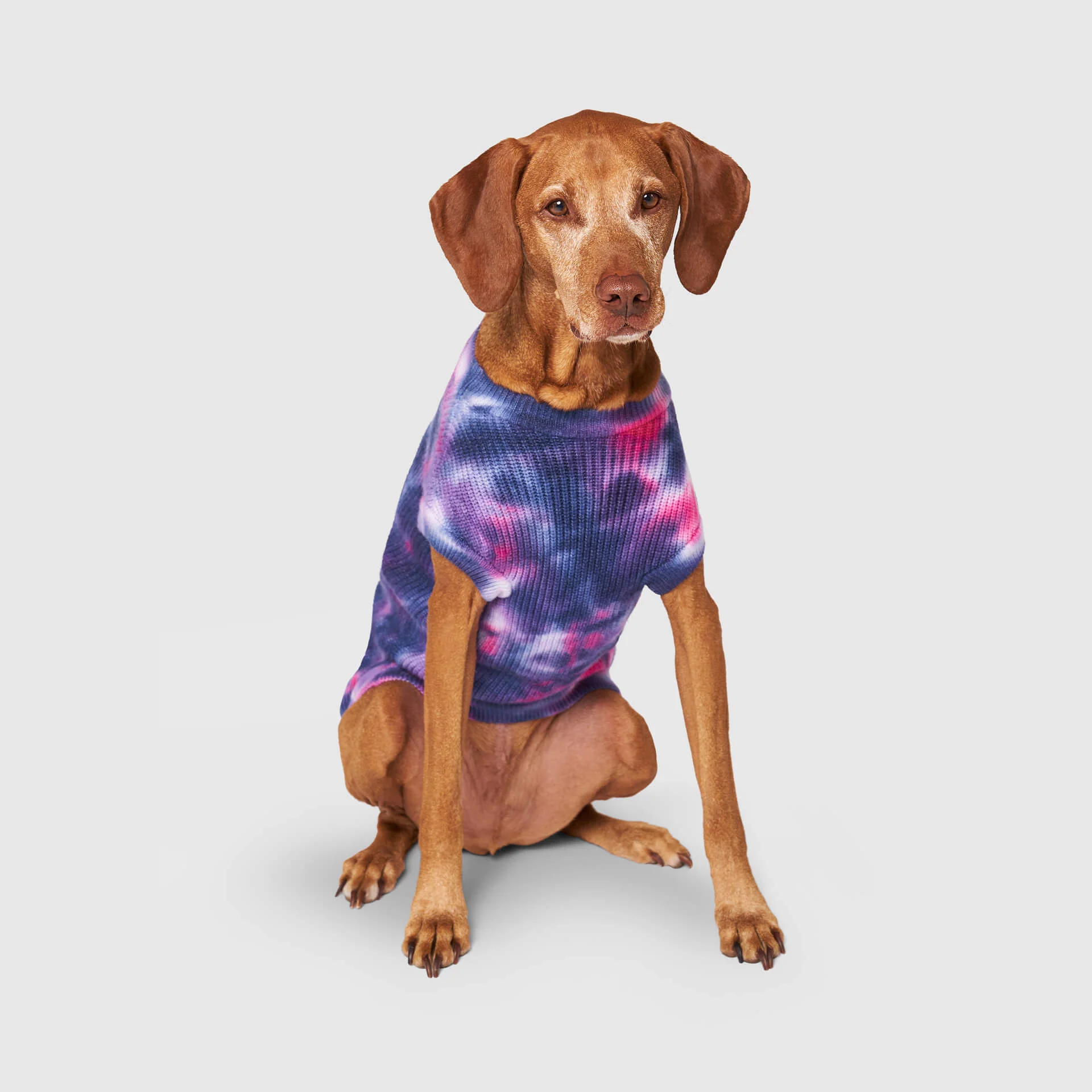 Canada Pooch Wild Side Sweater