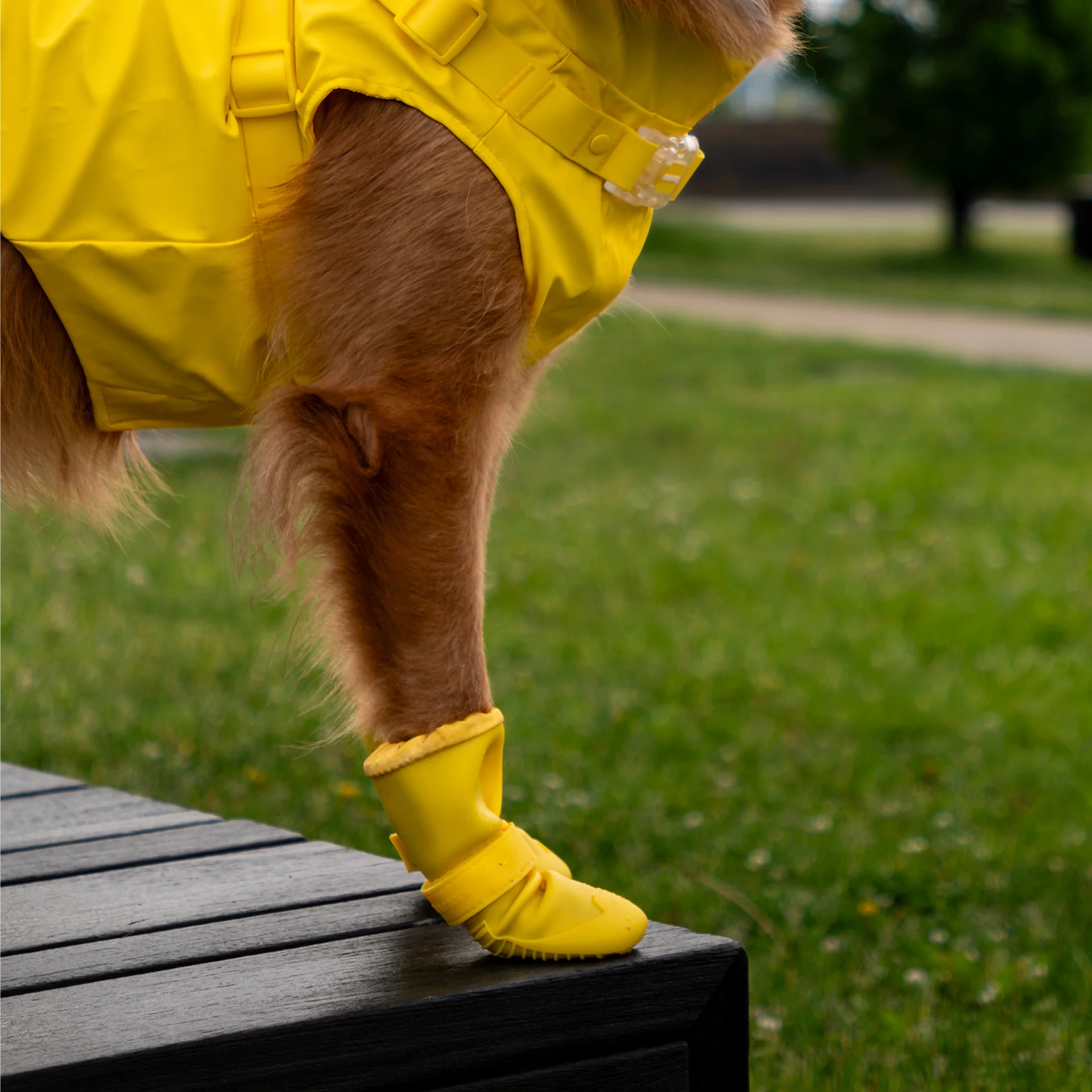 Canada Pooch Waterproof Rain Boots - Image 4