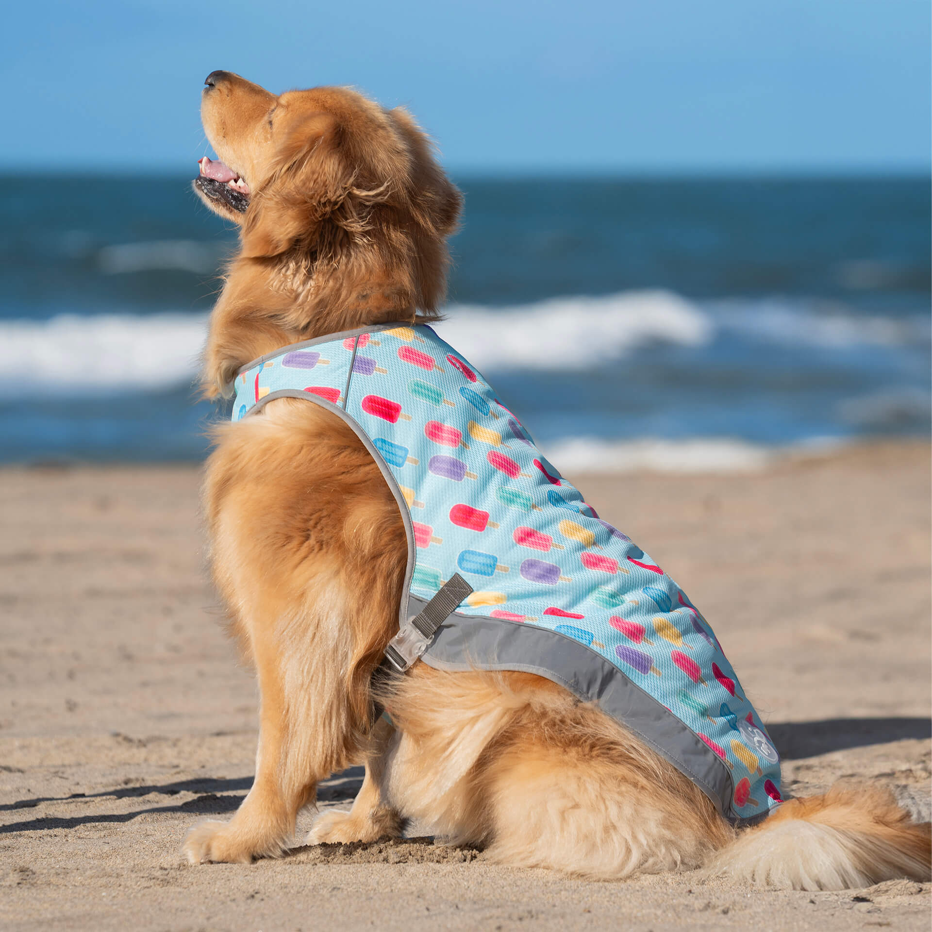 Canada Pooch Chill Seeker Cooling Vest - Image 30