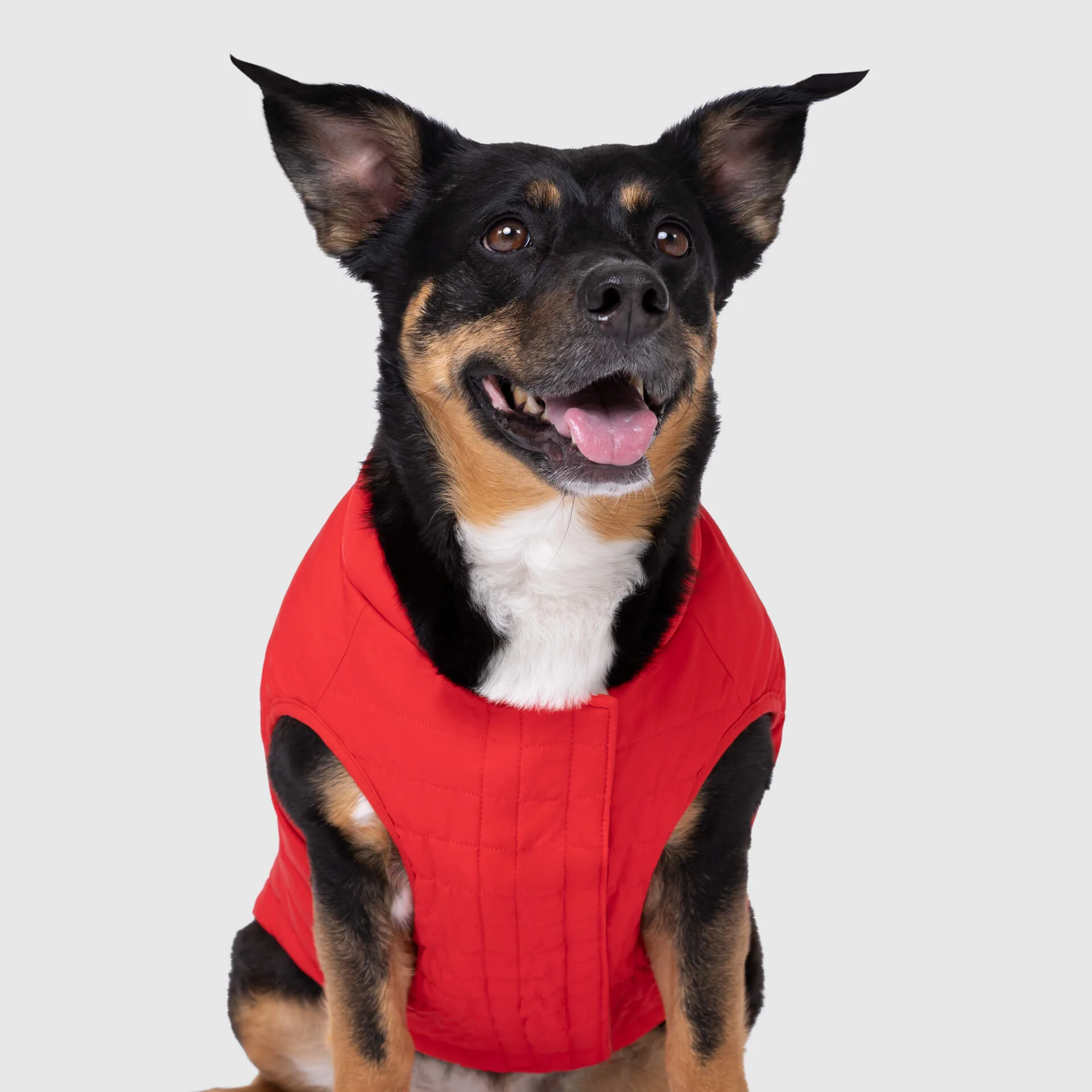 Canada Pooch Ultimate Stretch Vest - Image 12