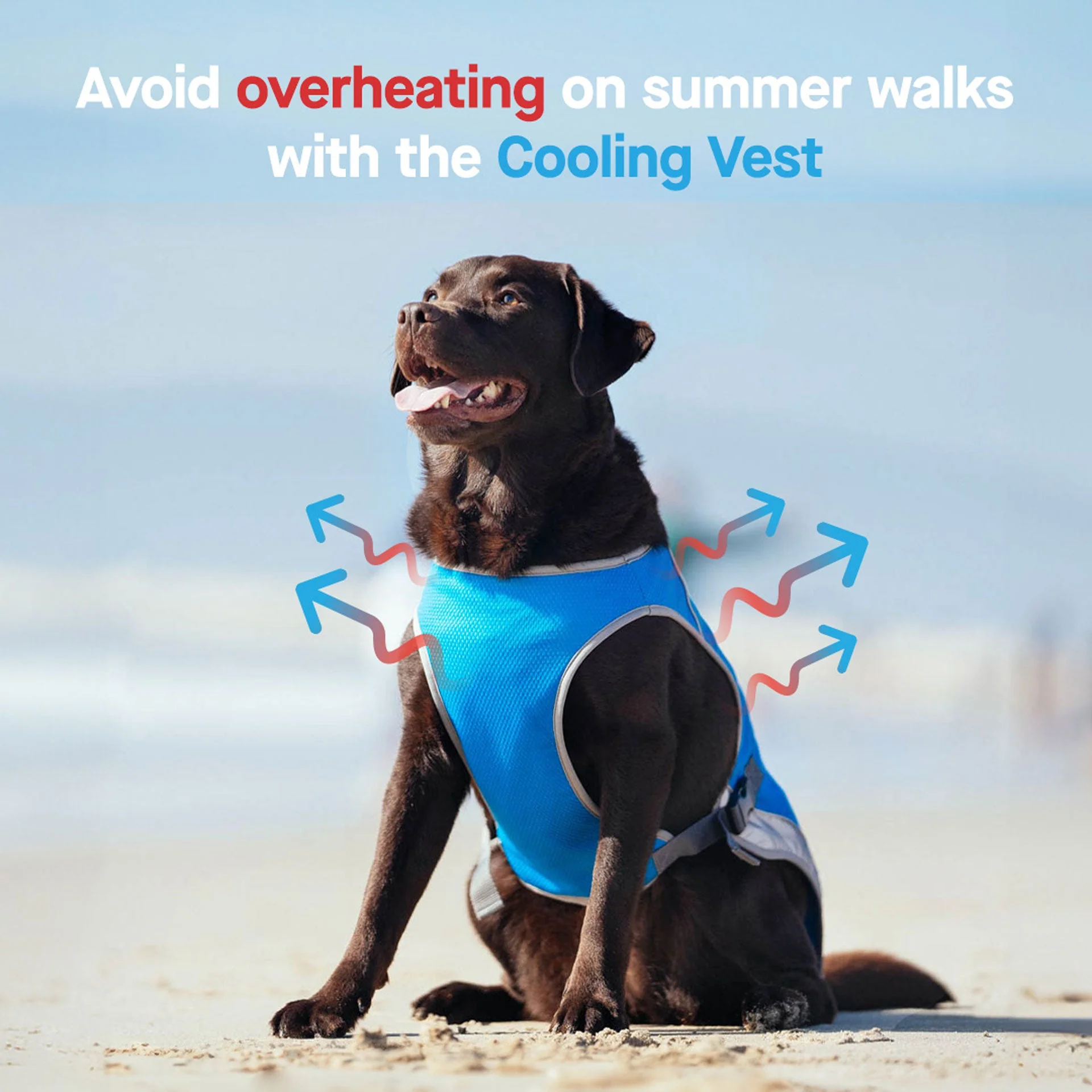 Canada Pooch Chill Seeker Cooling Vest - Image 25