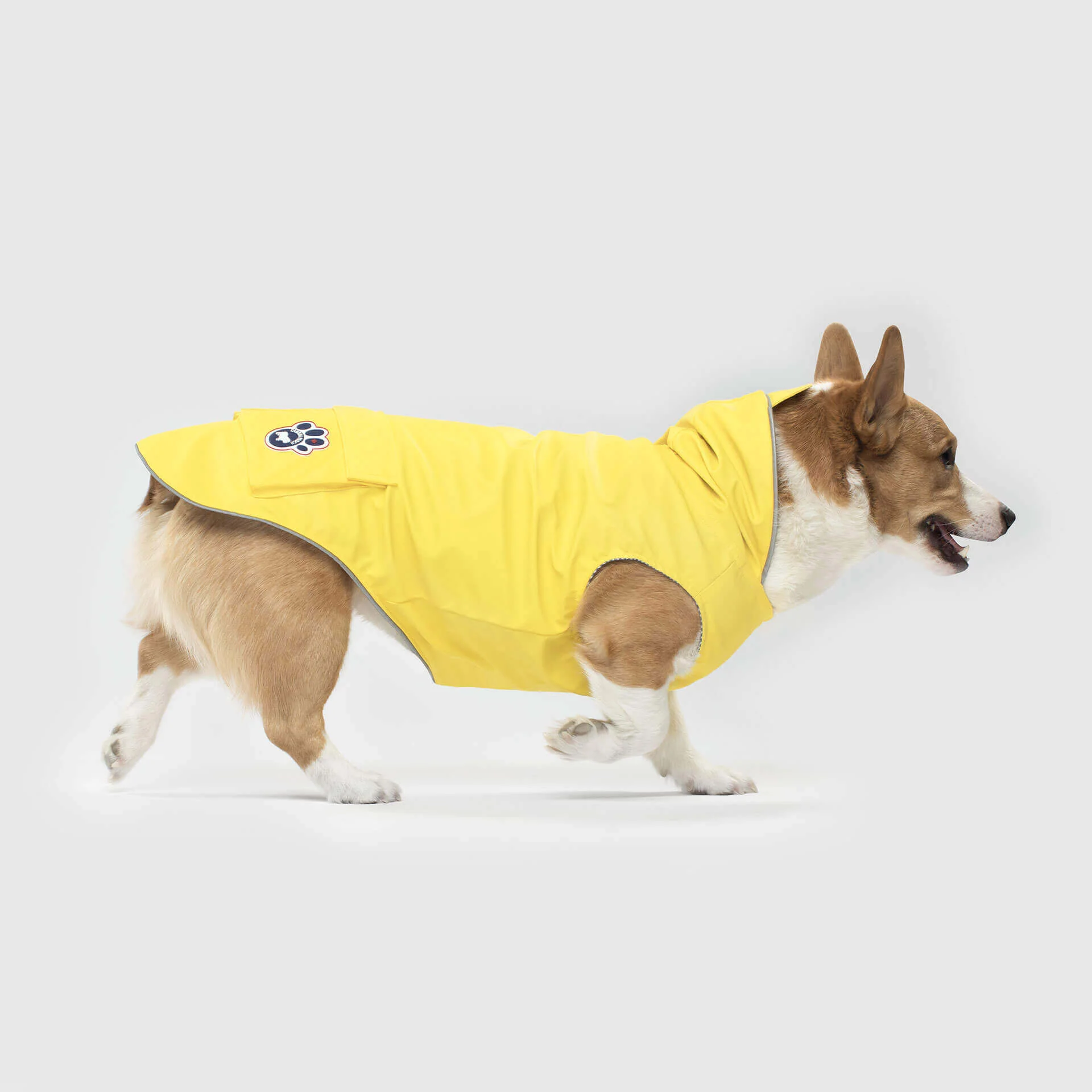 Canada Pooch Torrential Tracker