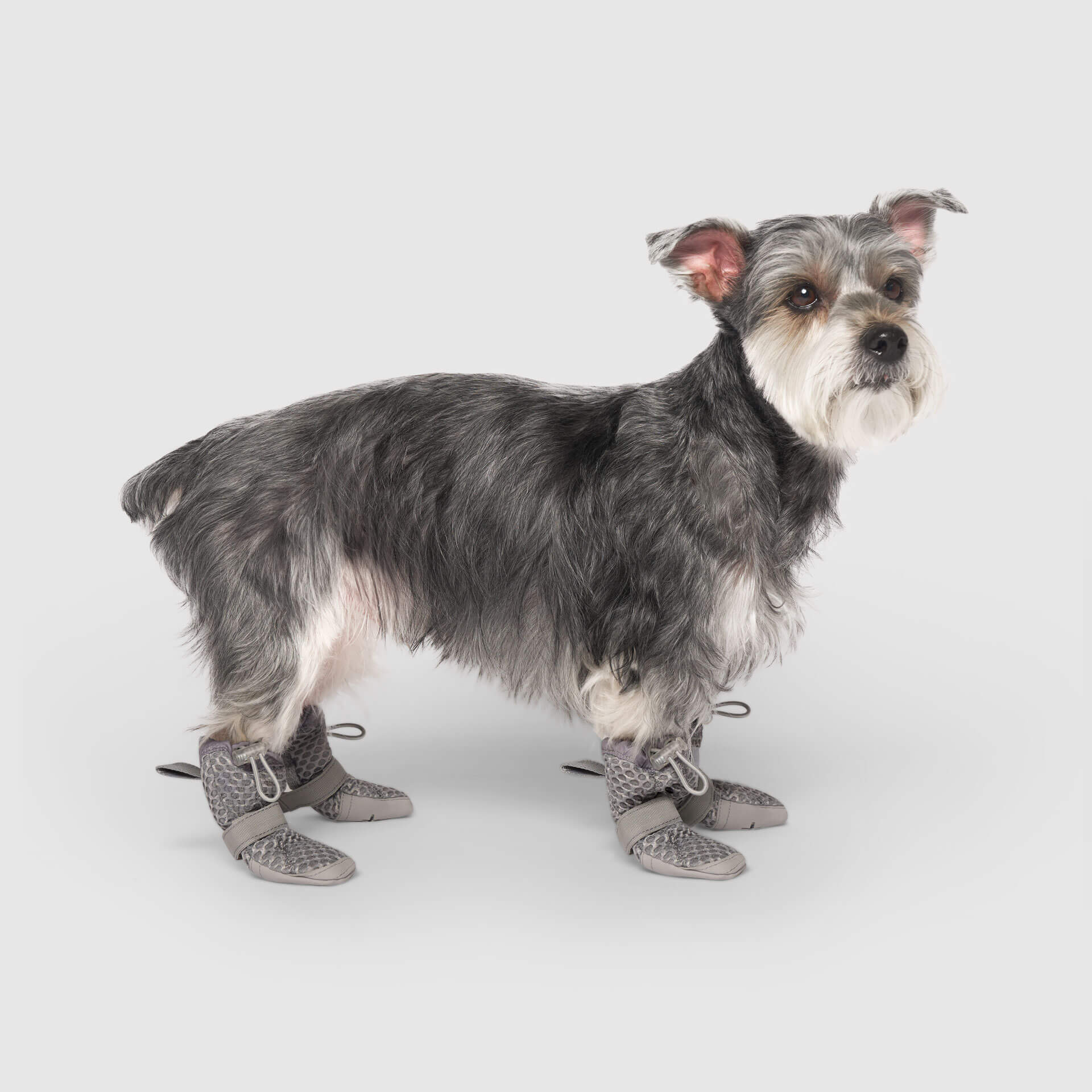 Canada Pooch Hot Pavement Boots - Image 6