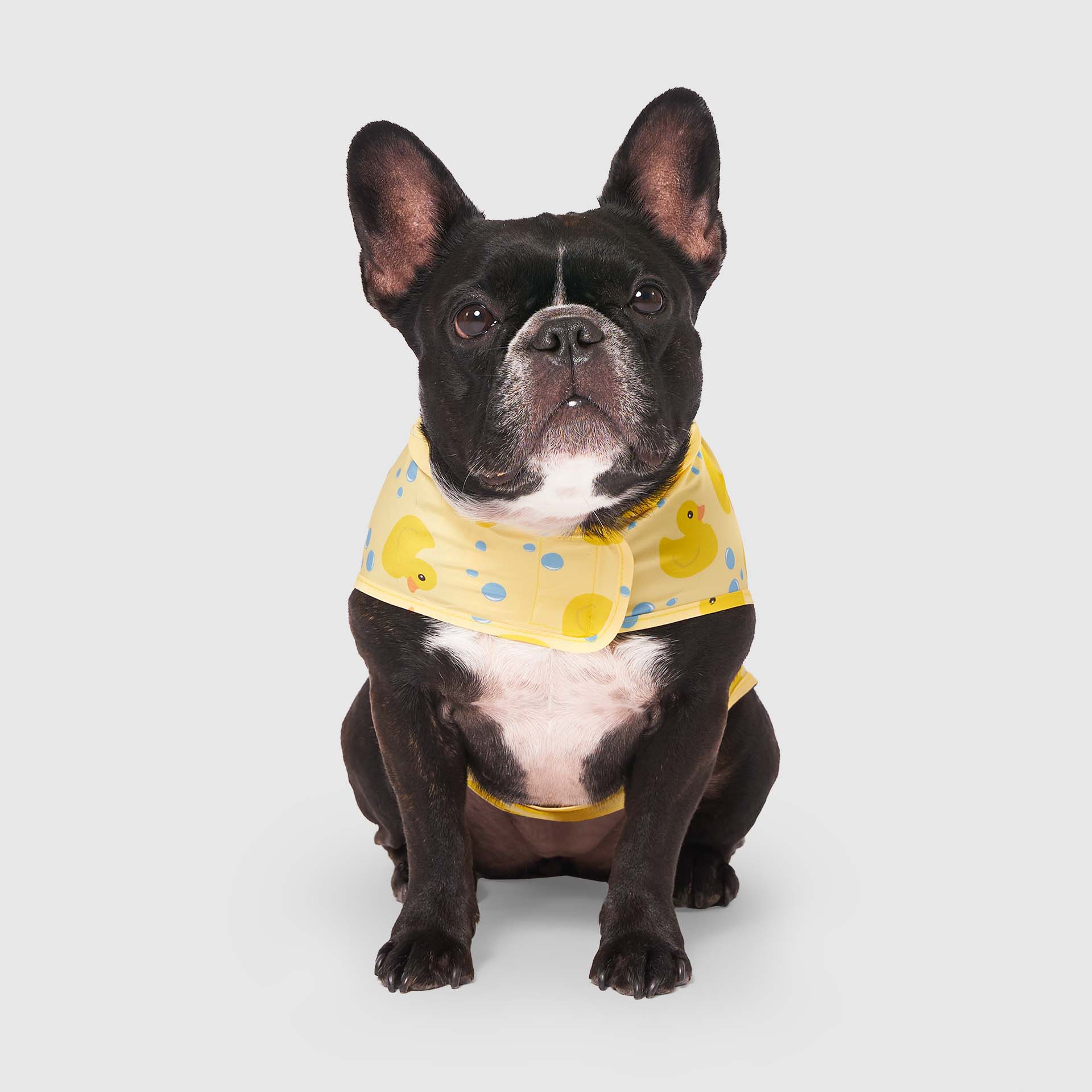 Canada Pooch Pick Me Poncho — SKU SB-A53199-ADDD5996031858 - Image 20