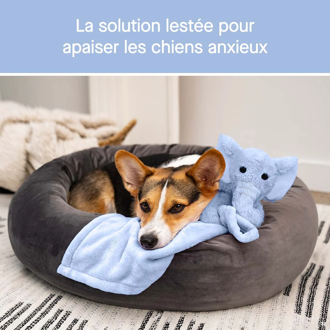 Canada Pooch Weighted Calming Toy - Image 25