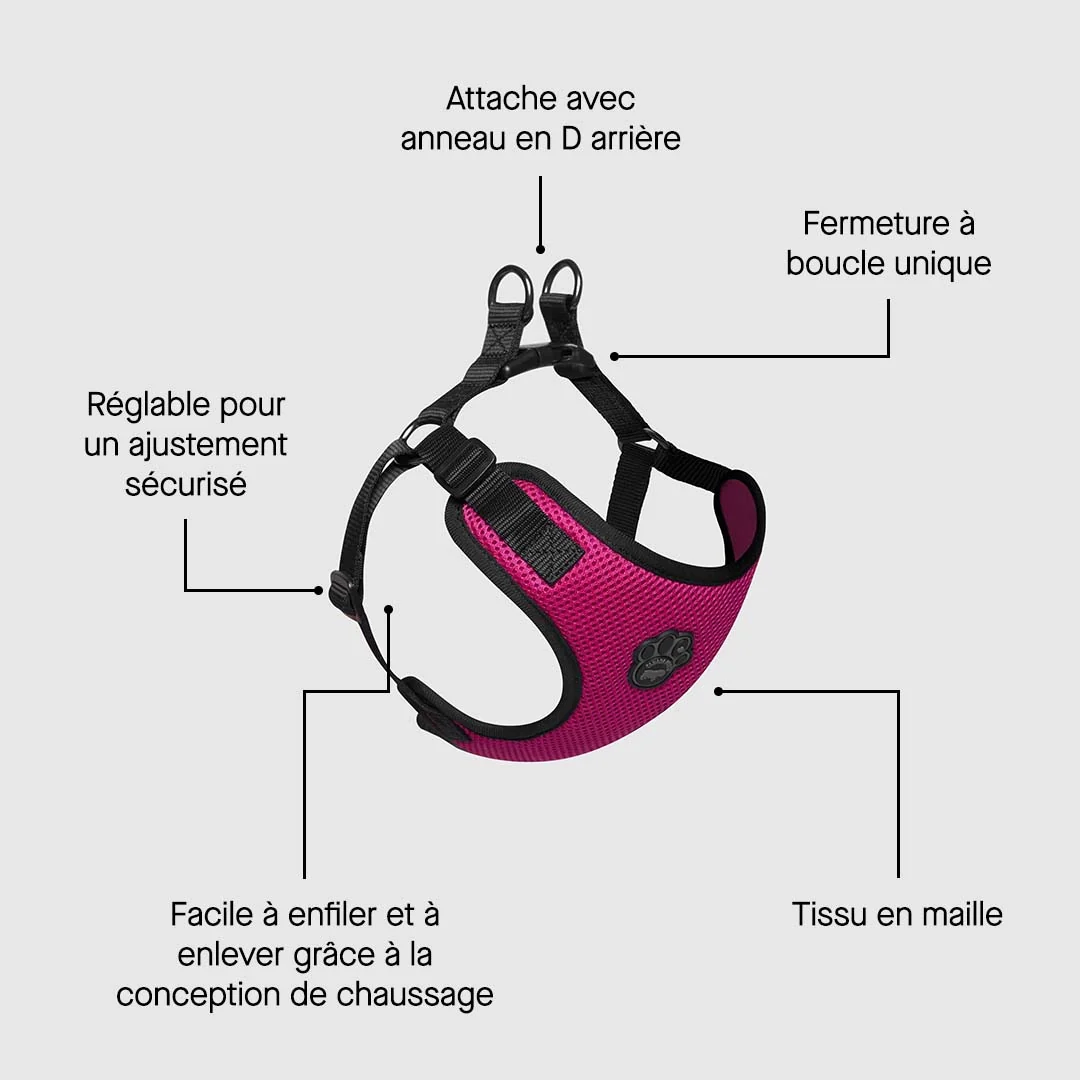 Canada Pooch Easy-On Step-In Harness - Image 16