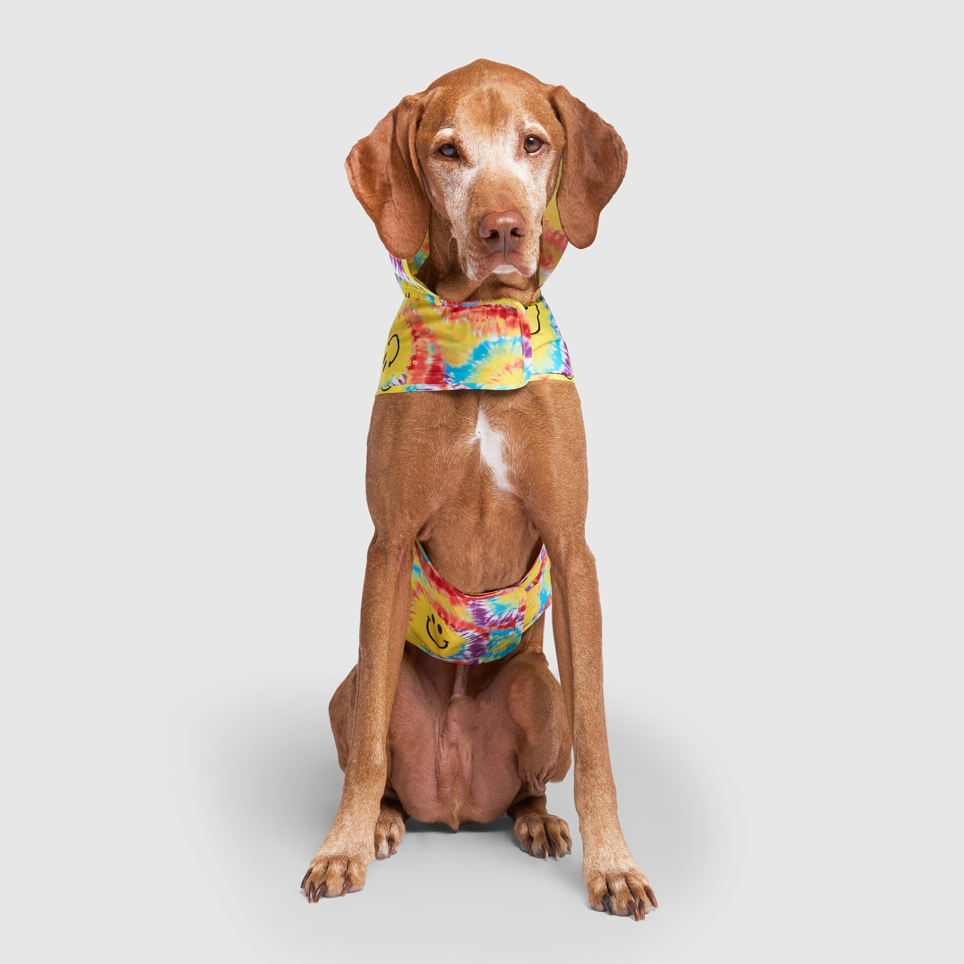 Canada Pooch Pick Me Poncho — SKU SB-A53199-ADDD5996031858 - Image 29