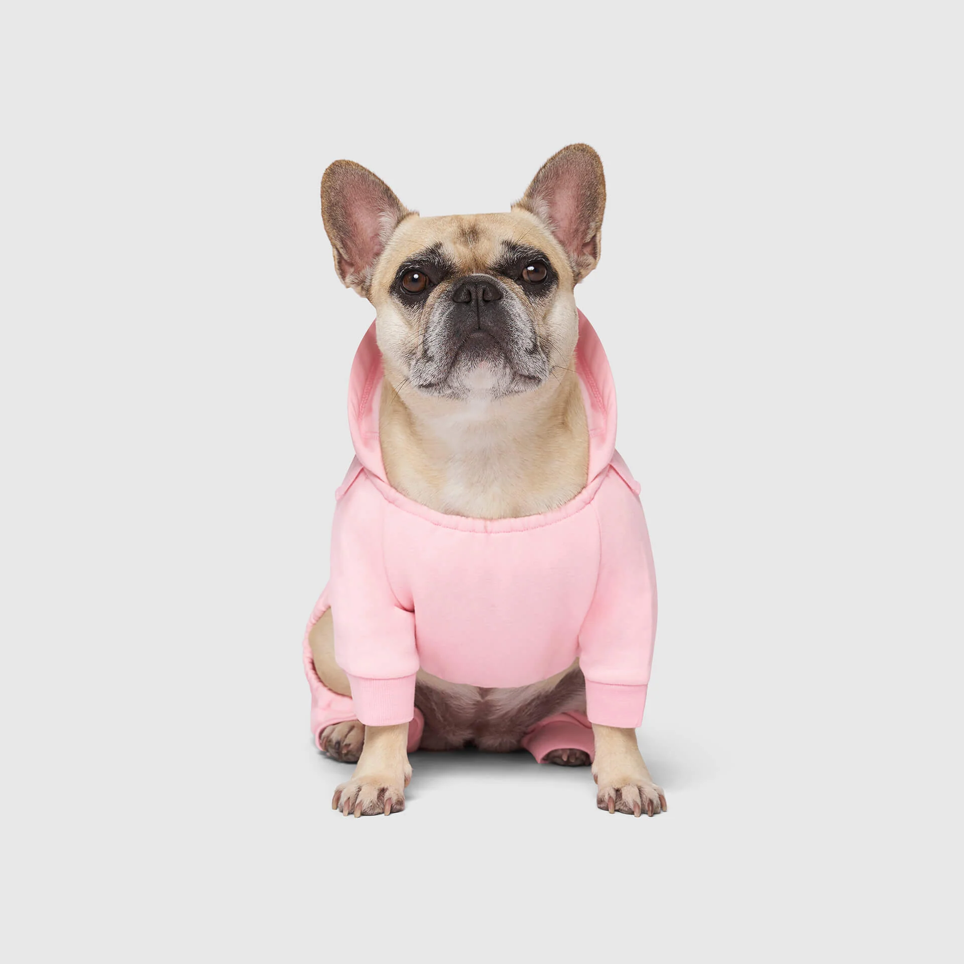 Canada Pooch Soft Side Sweatsuit