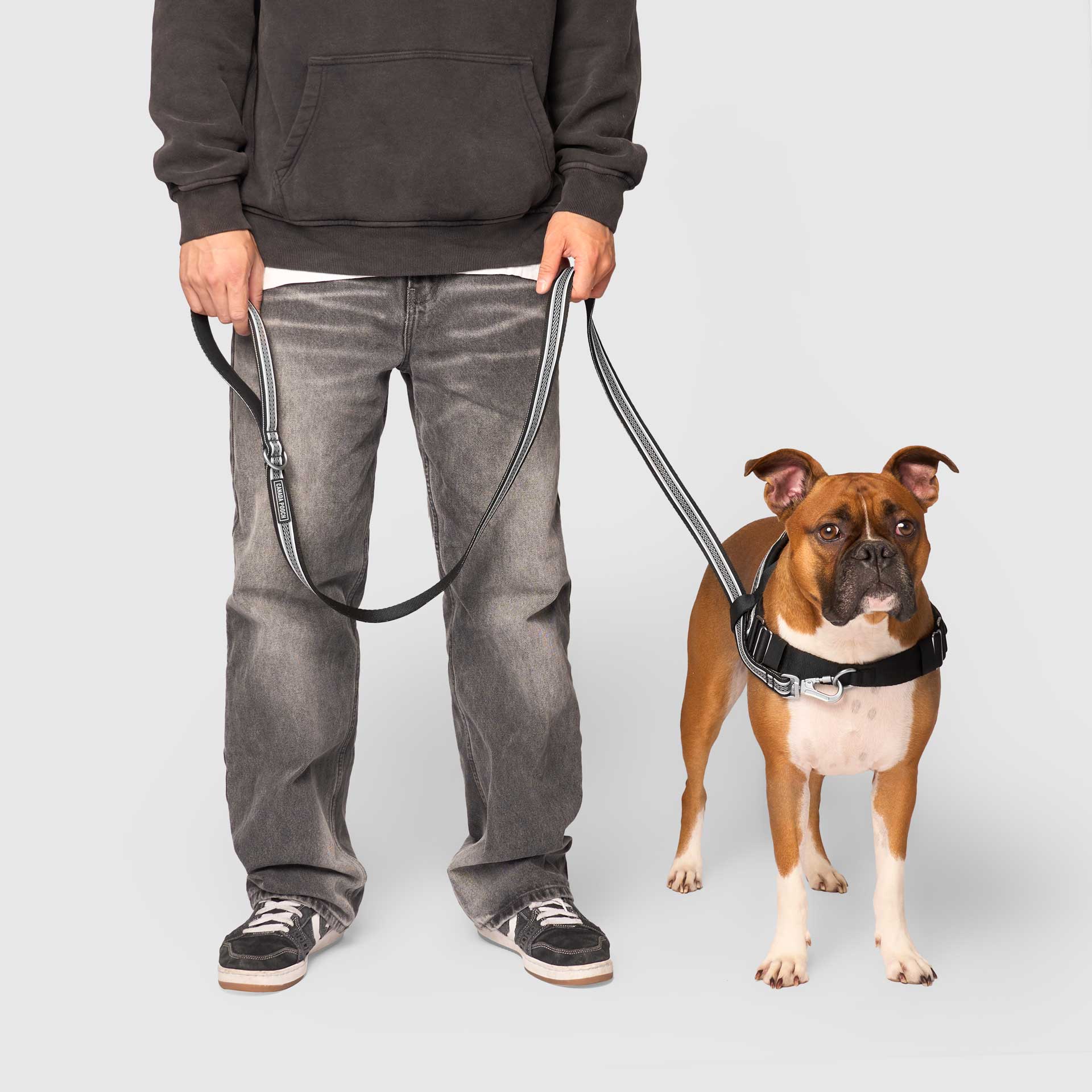 Canada Pooch Jacquard Leash