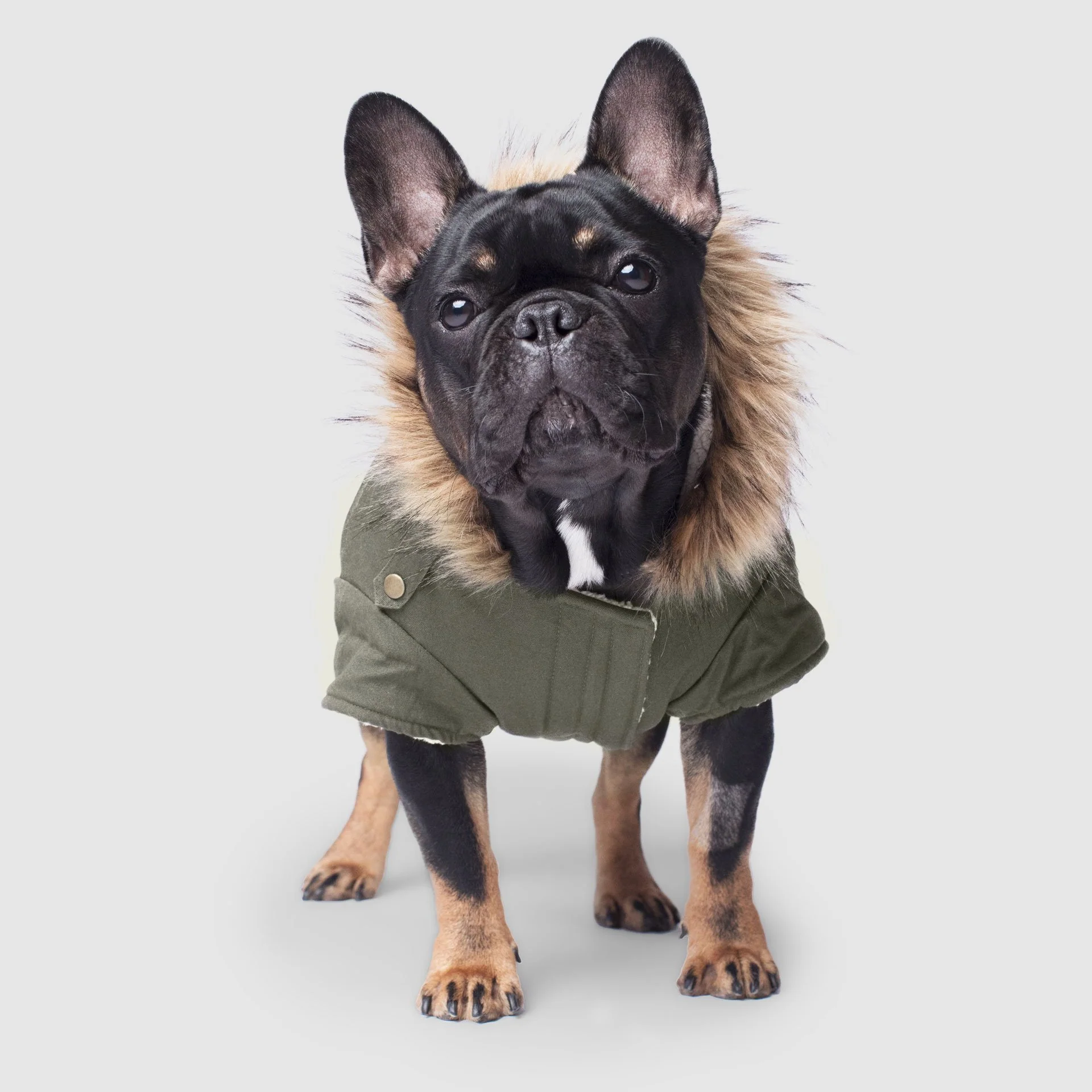 Canada Pooch Alaskan Army Parka - Image 7