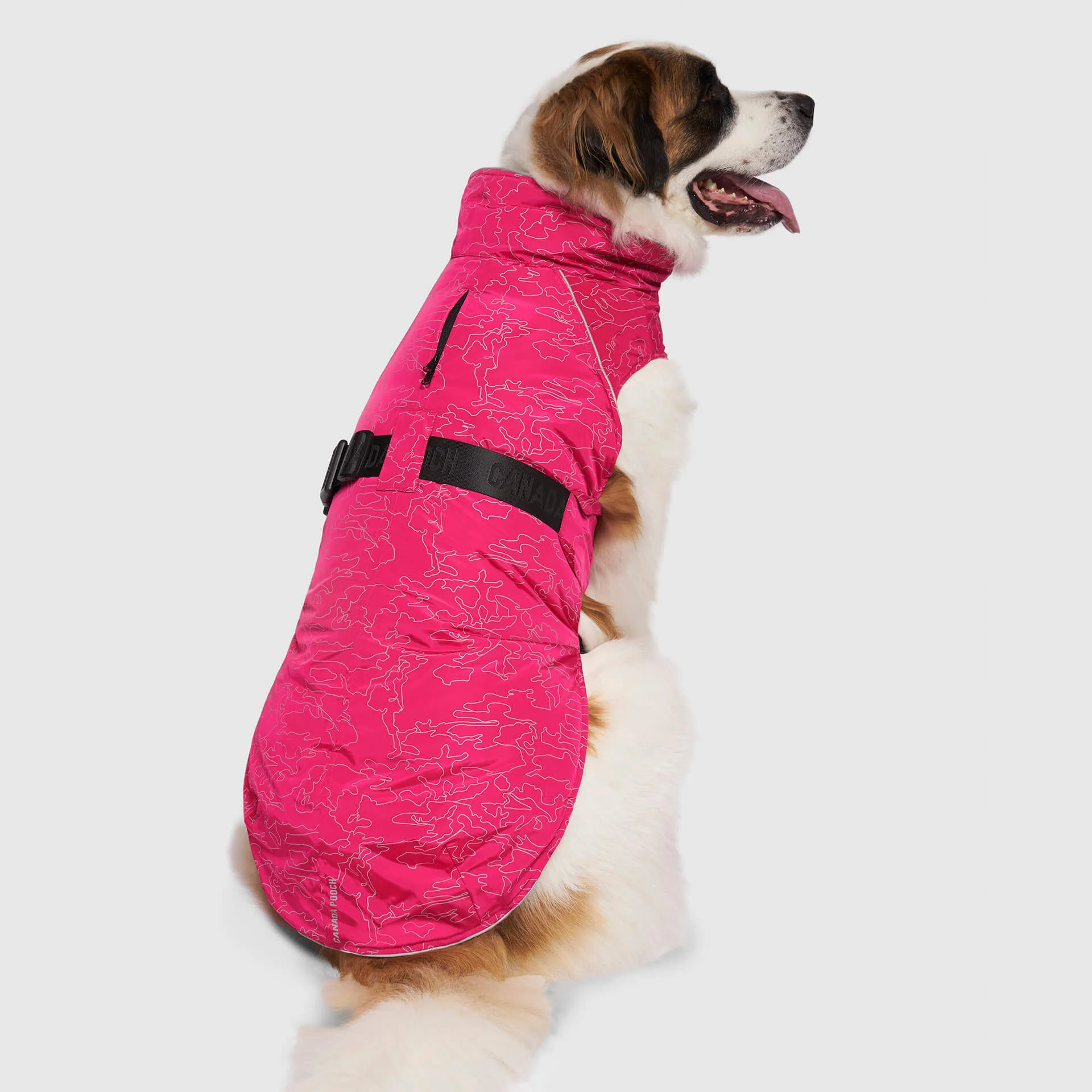 Canada Pooch Expedition Coat 2.0 - Image 12