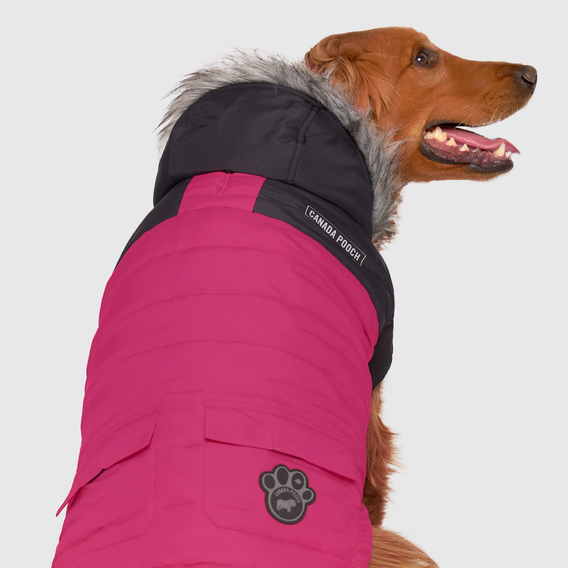 Canada Pooch True North Parka - Image 8